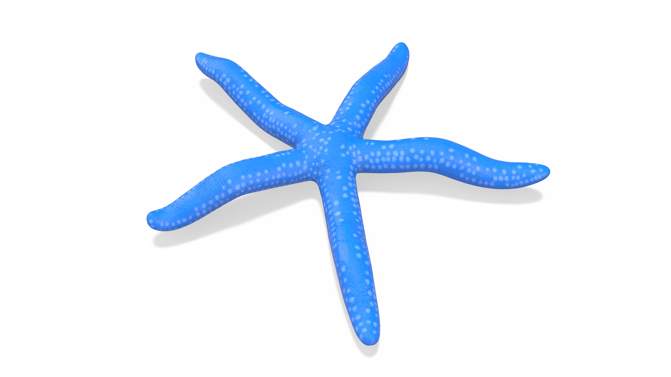 Blue Linckia Rigged 3D model