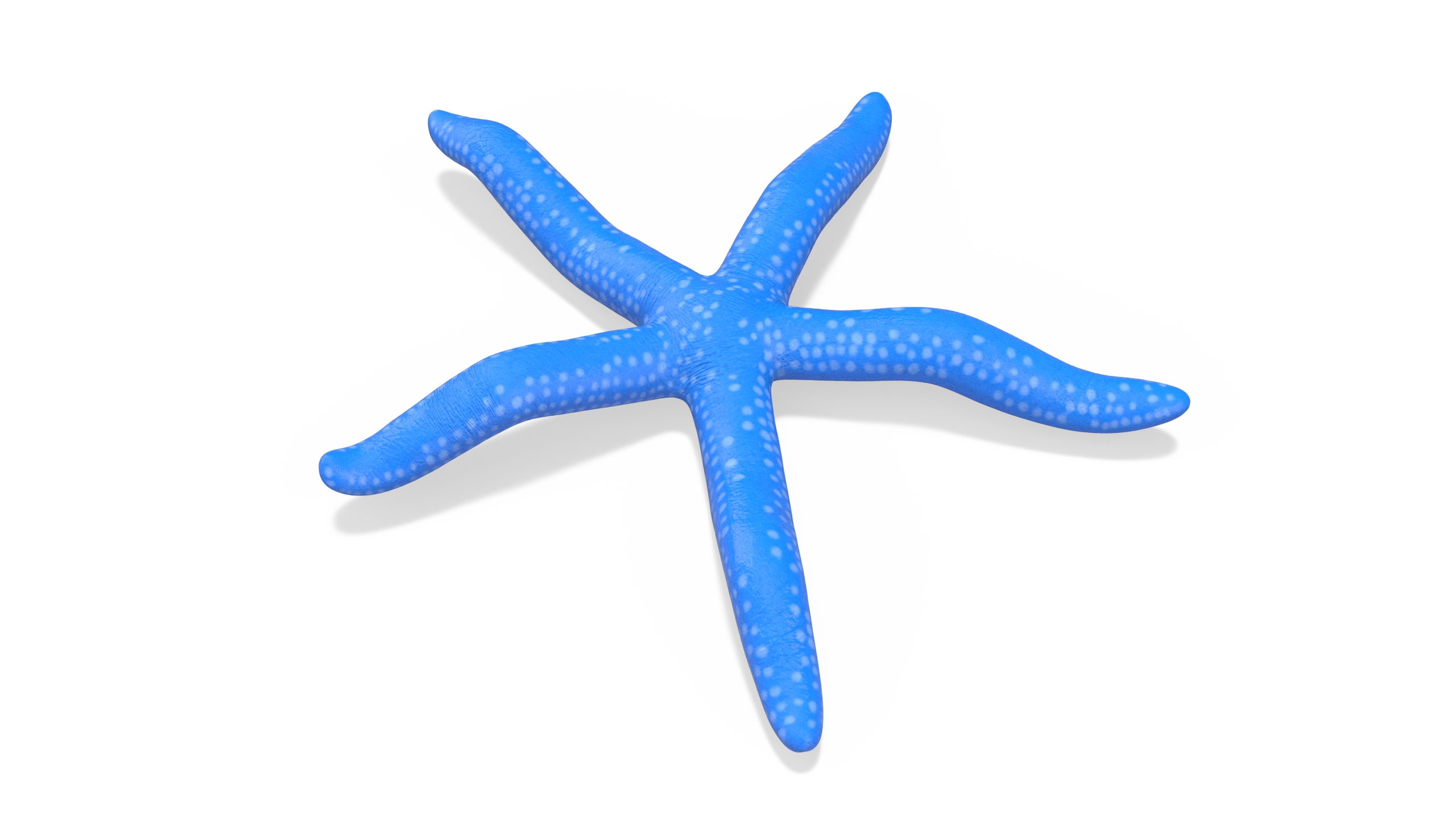 Blue Linckia Rigged 3D model