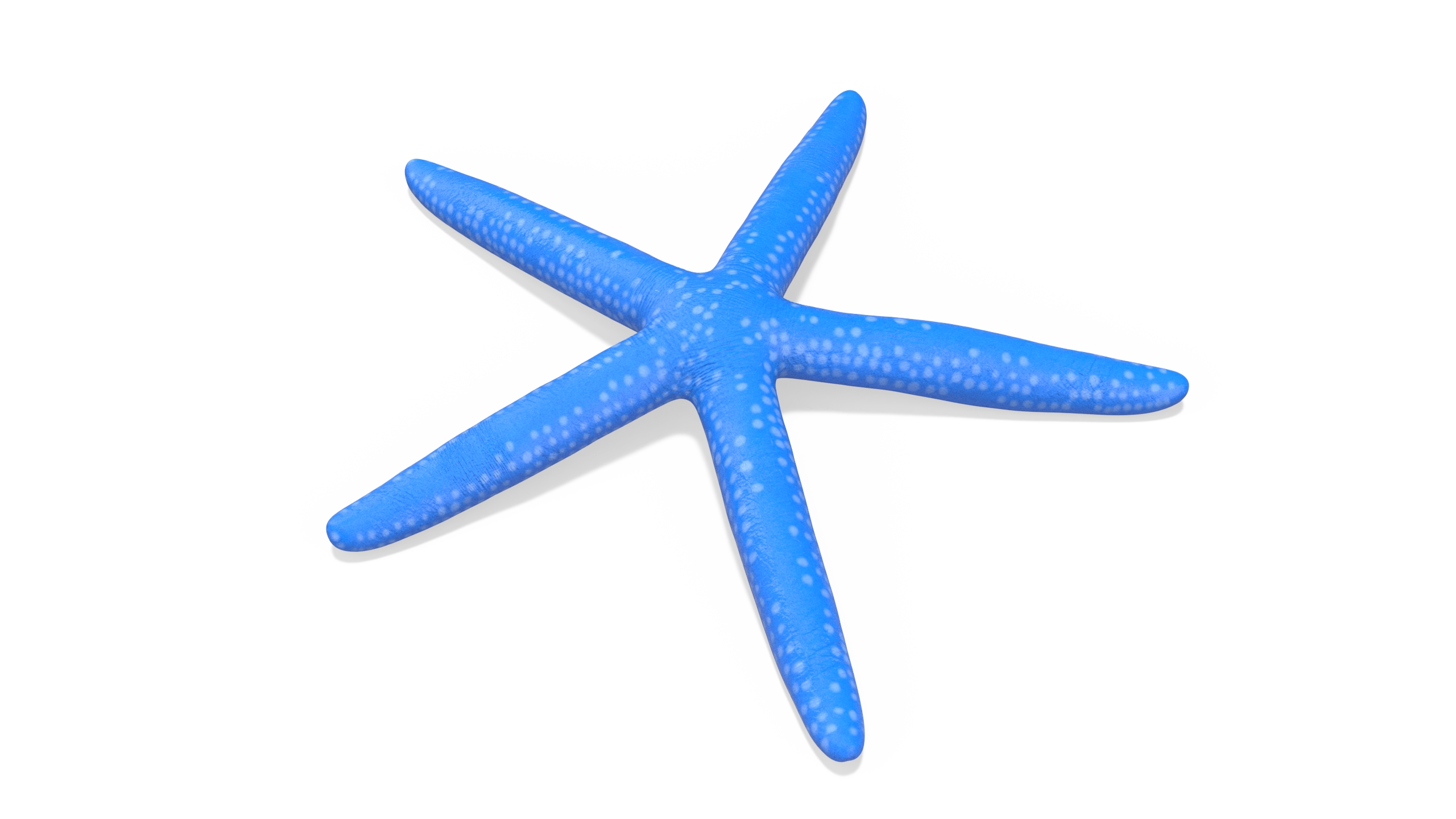 Blue Linckia Rigged 3D model