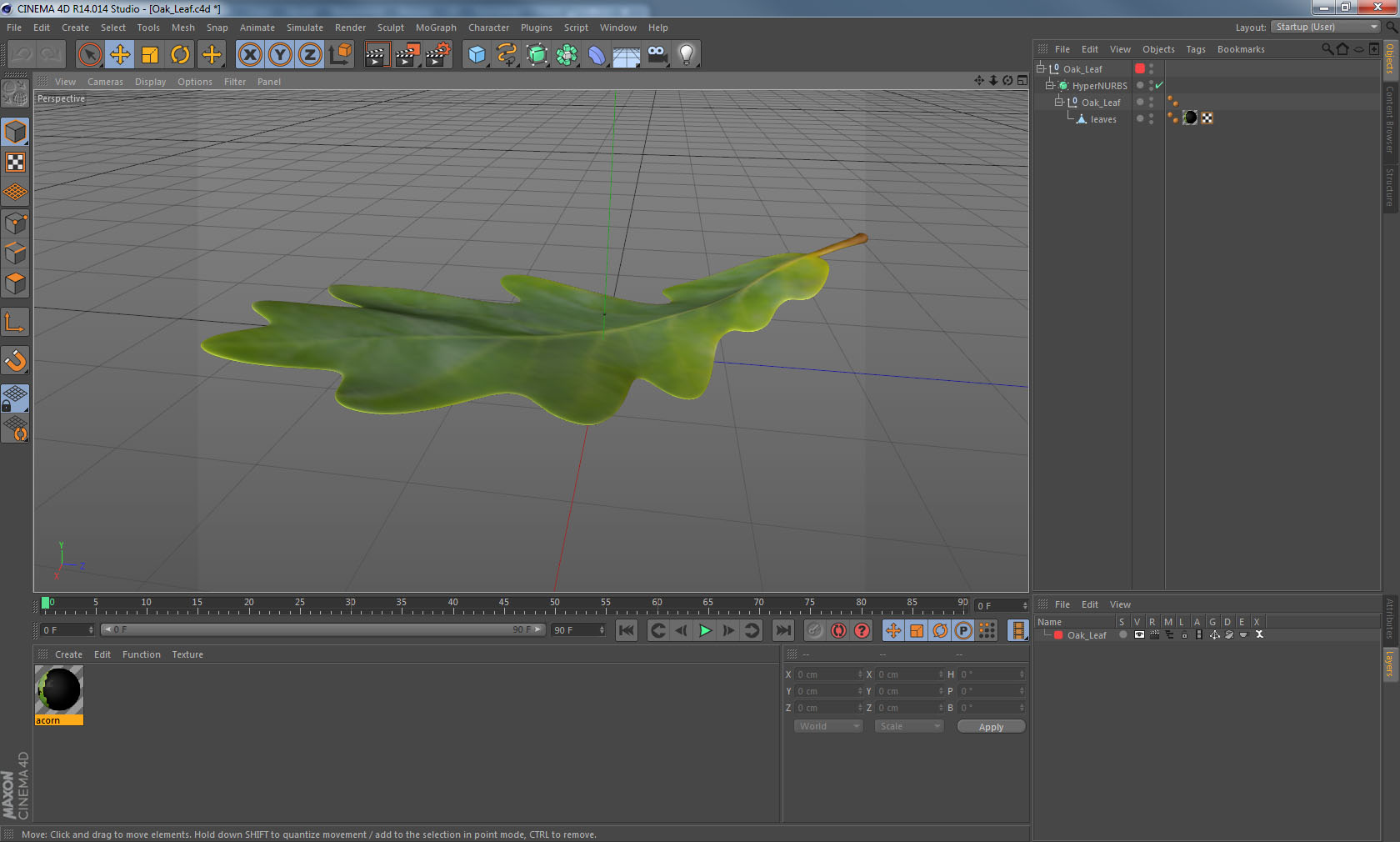 3D model Oak Leaf