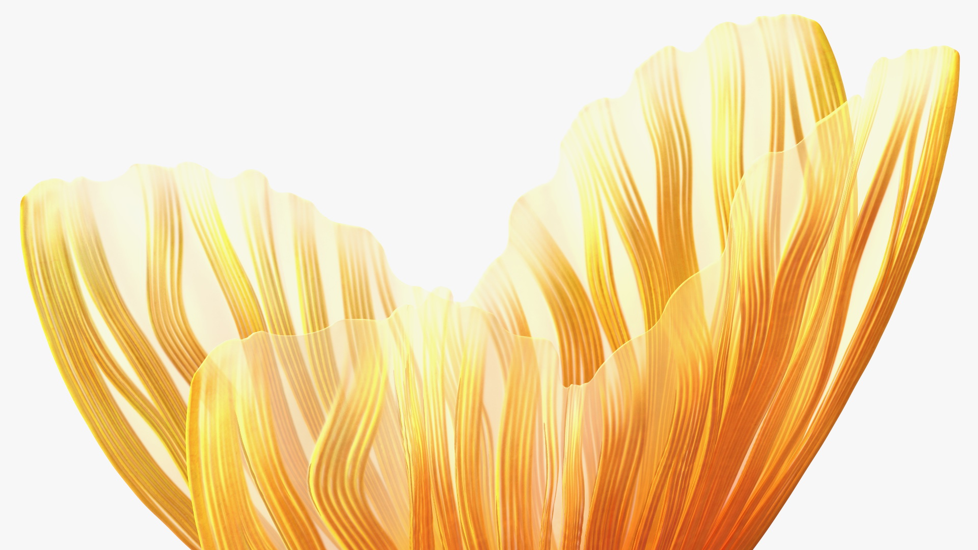 Orange Fancy Fantail Goldfish 3D model