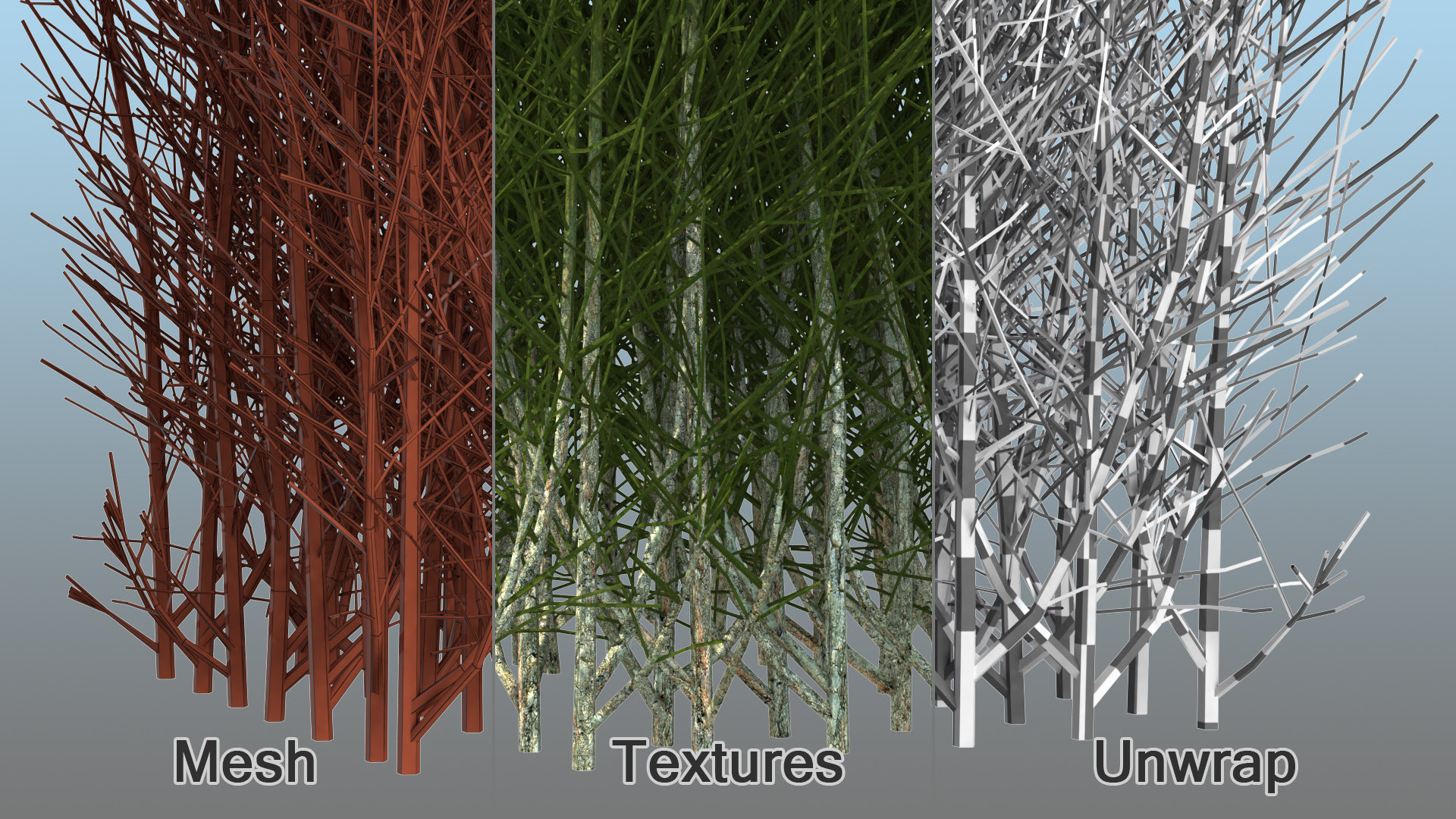 3D Square Bush