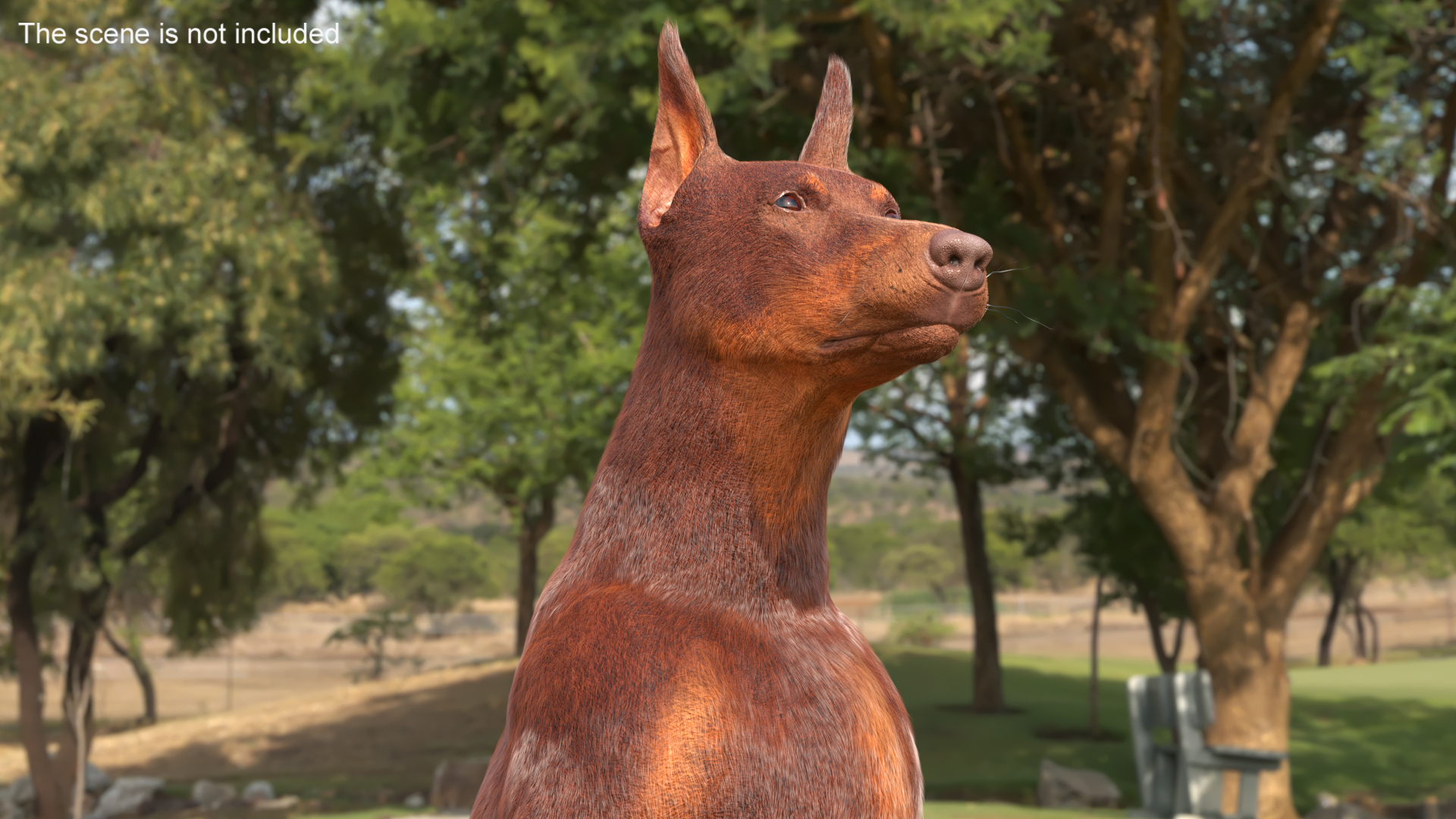 Doberman Dog Brown Sits Fur 3D
