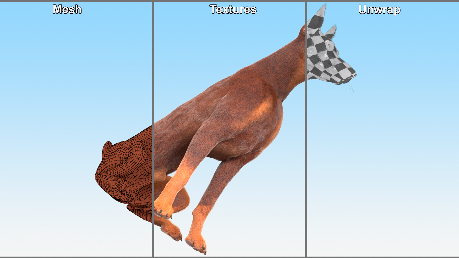 Doberman Dog Brown Sits Fur 3D