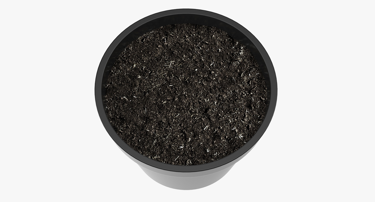 3D model Flower Pot With Soil