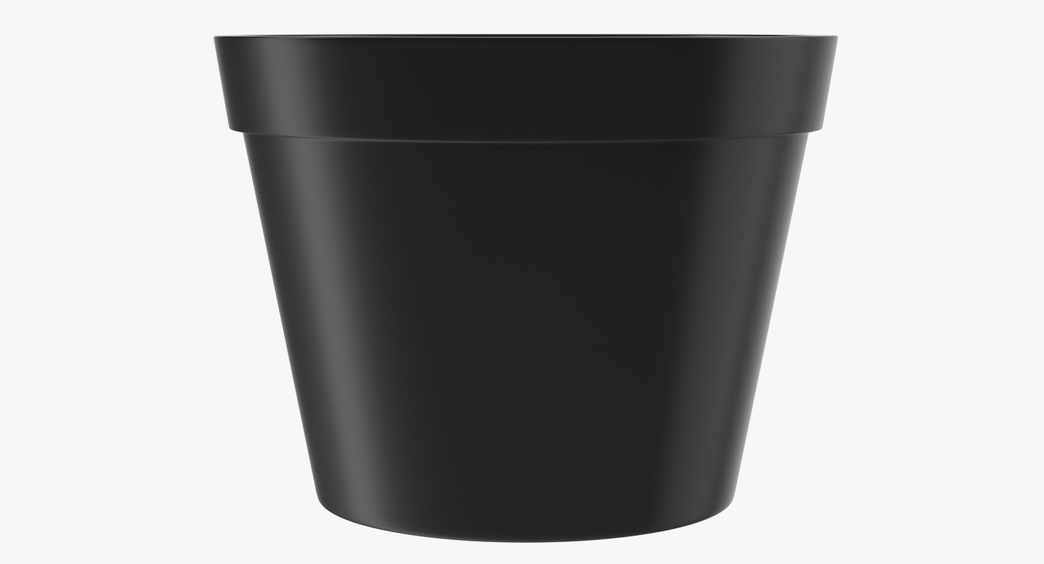 3D model Flower Pot With Soil