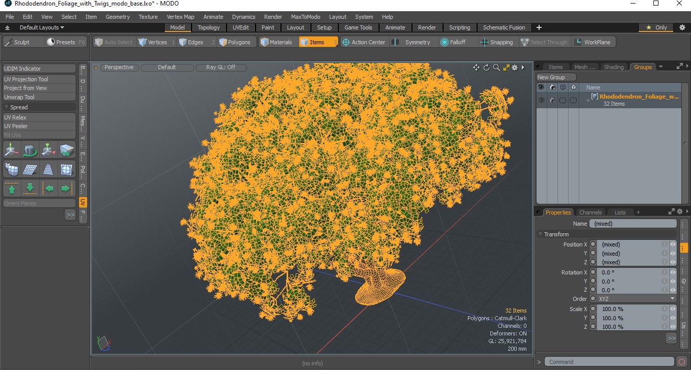 3D Rhododendron Foliage with Twigs