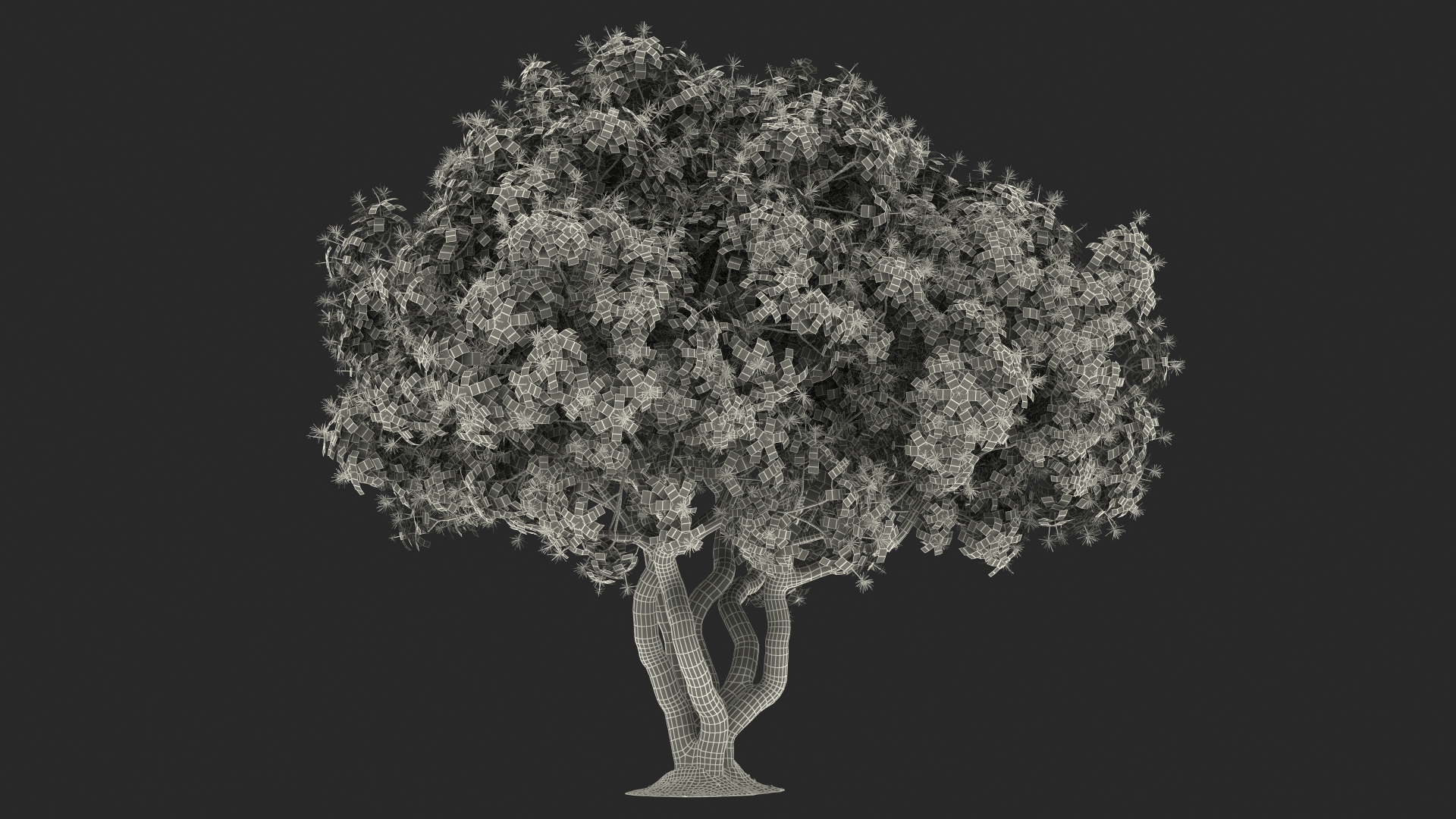 3D Rhododendron Foliage with Twigs