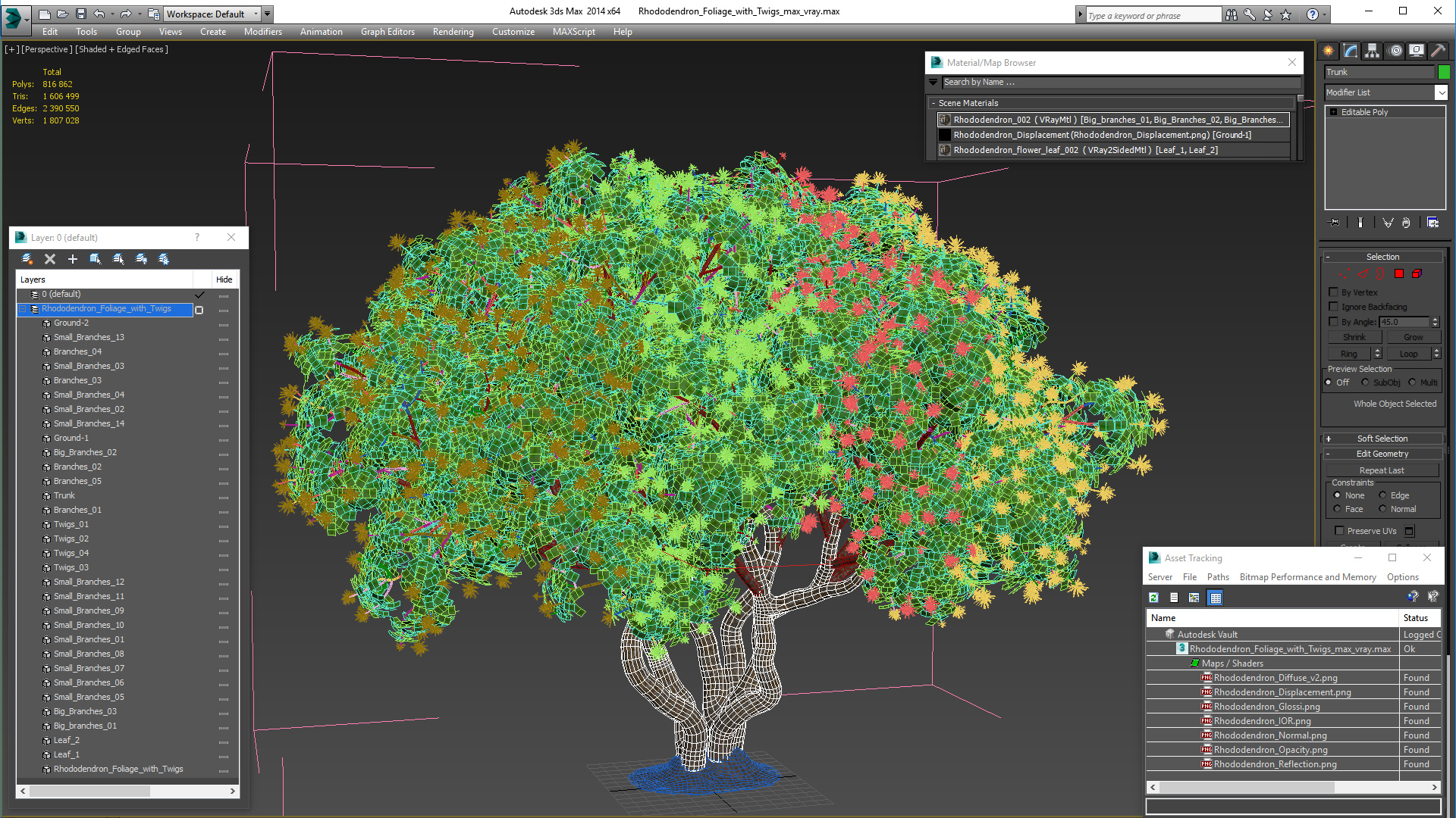 3D Rhododendron Foliage with Twigs