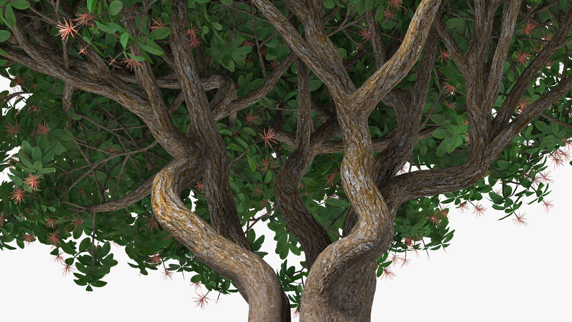 3D Rhododendron Foliage with Twigs
