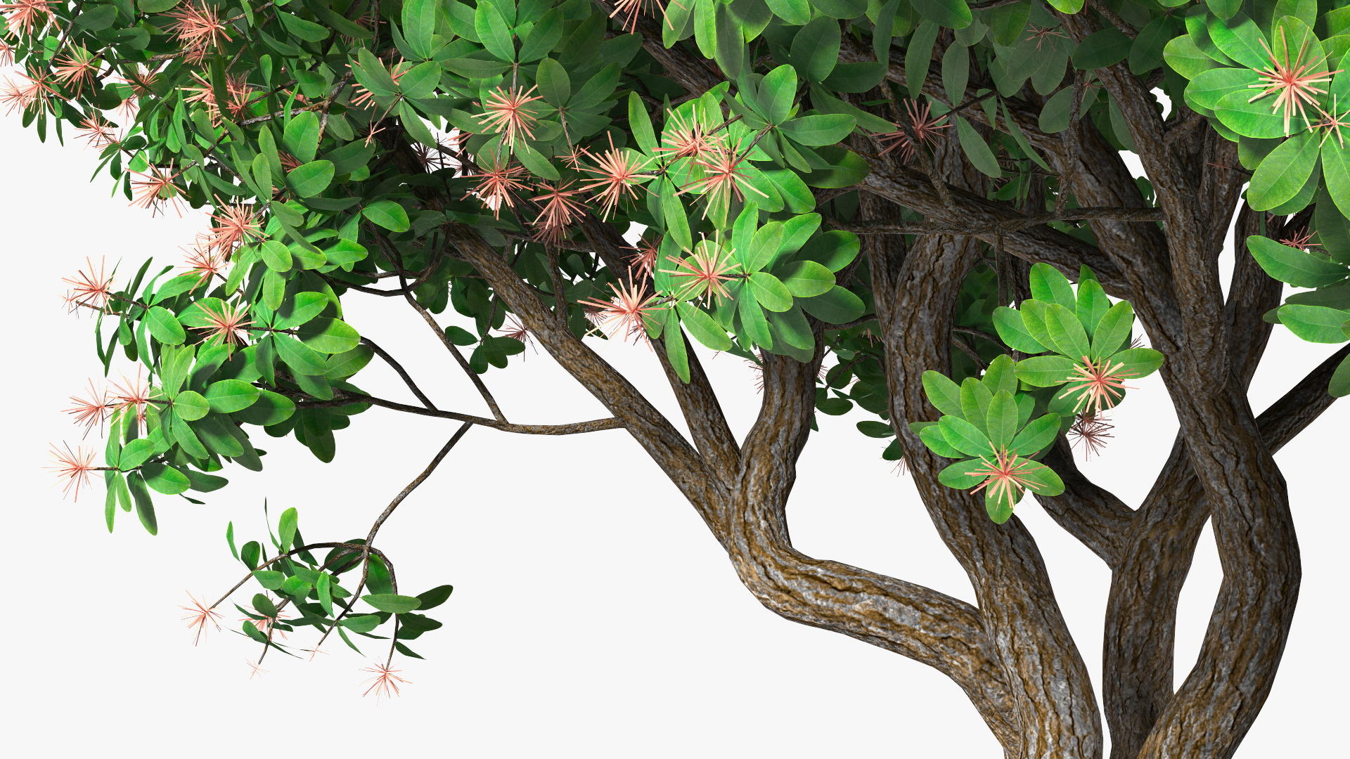 3D Rhododendron Foliage with Twigs