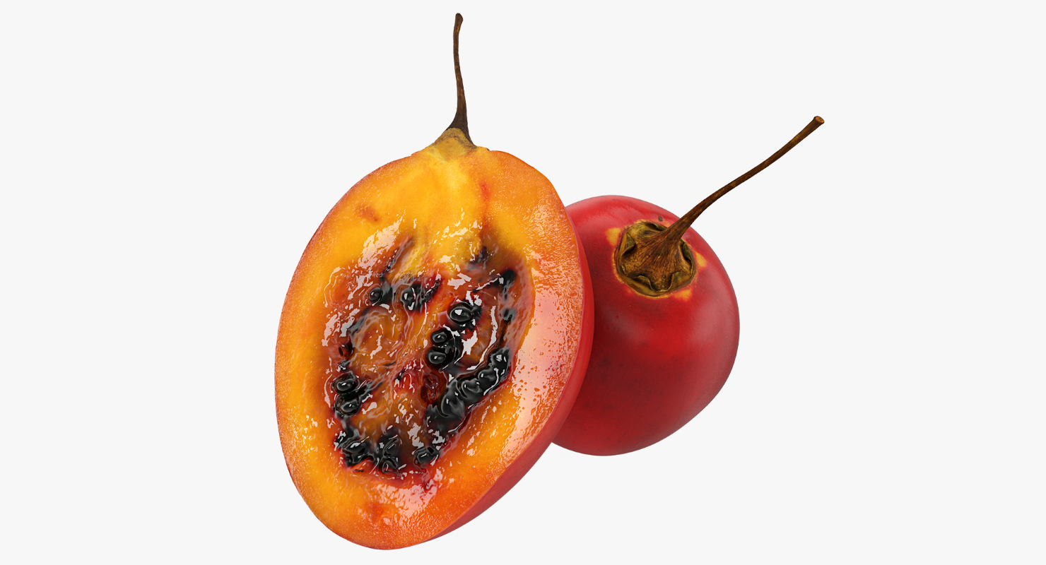 Tree Tomato Tamarillo Whole Half 3D