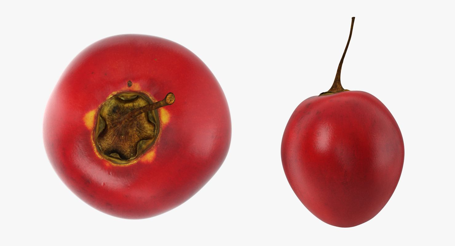 Tree Tomato Tamarillo Whole Half 3D