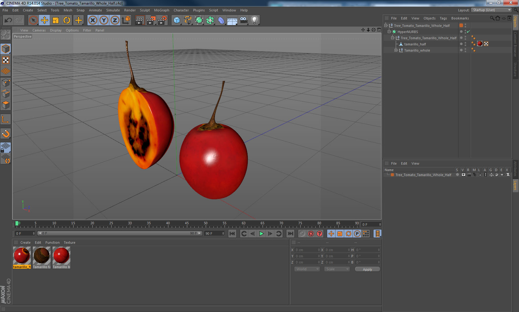 Tree Tomato Tamarillo Whole Half 3D