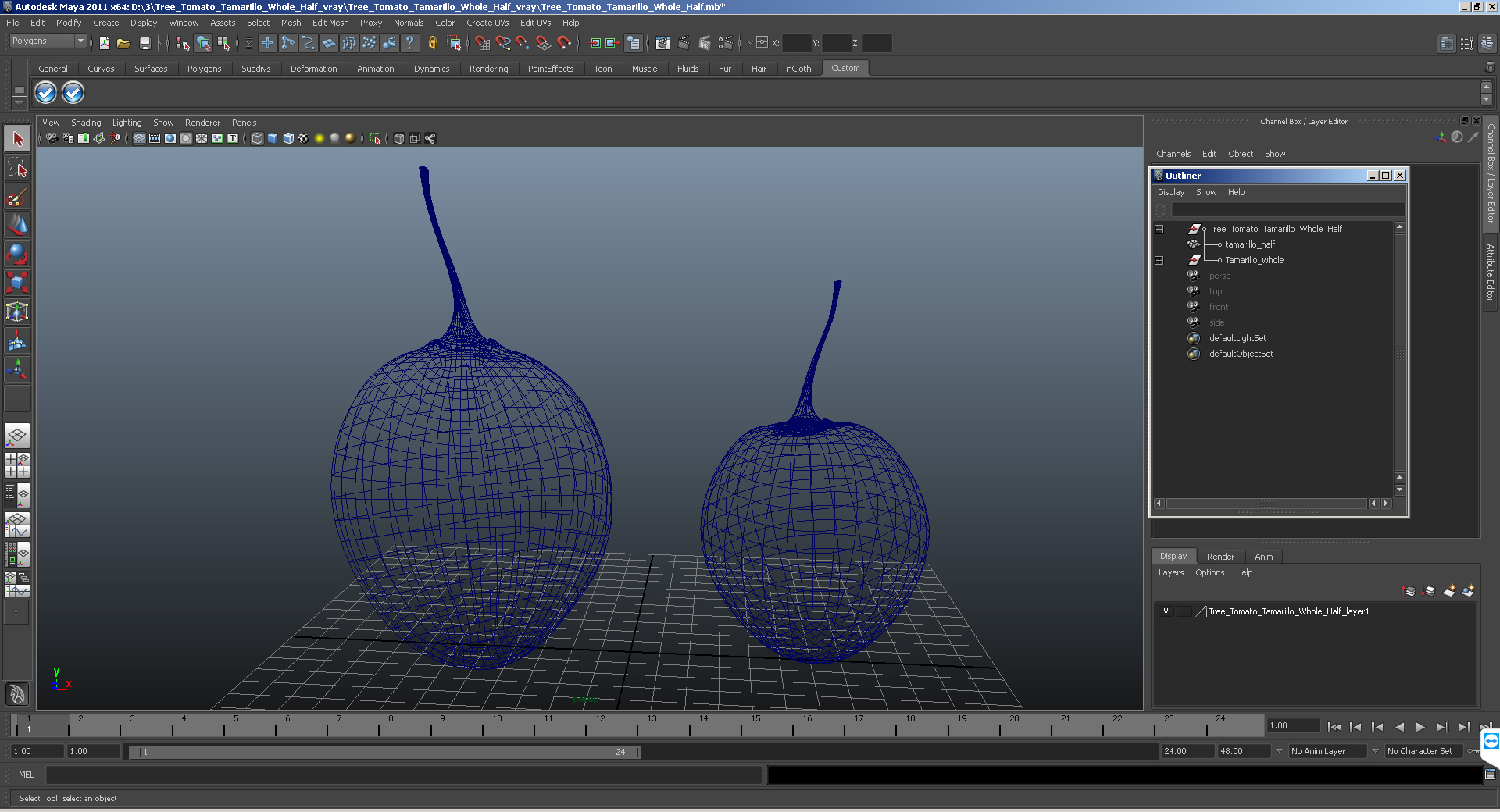 Tree Tomato Tamarillo Whole Half 3D