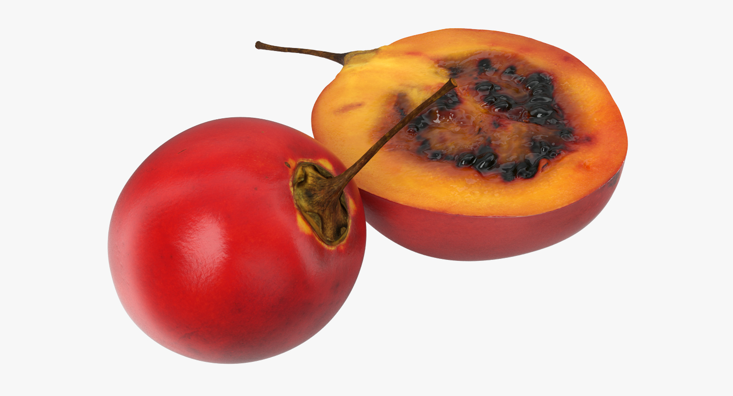 Tree Tomato Tamarillo Whole Half 3D