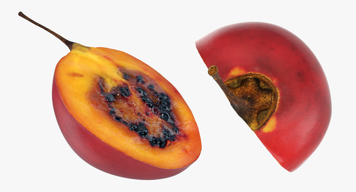 Tree Tomato Tamarillo Whole Half 3D