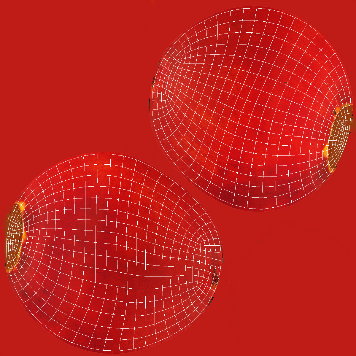 Tree Tomato Tamarillo Whole Half 3D