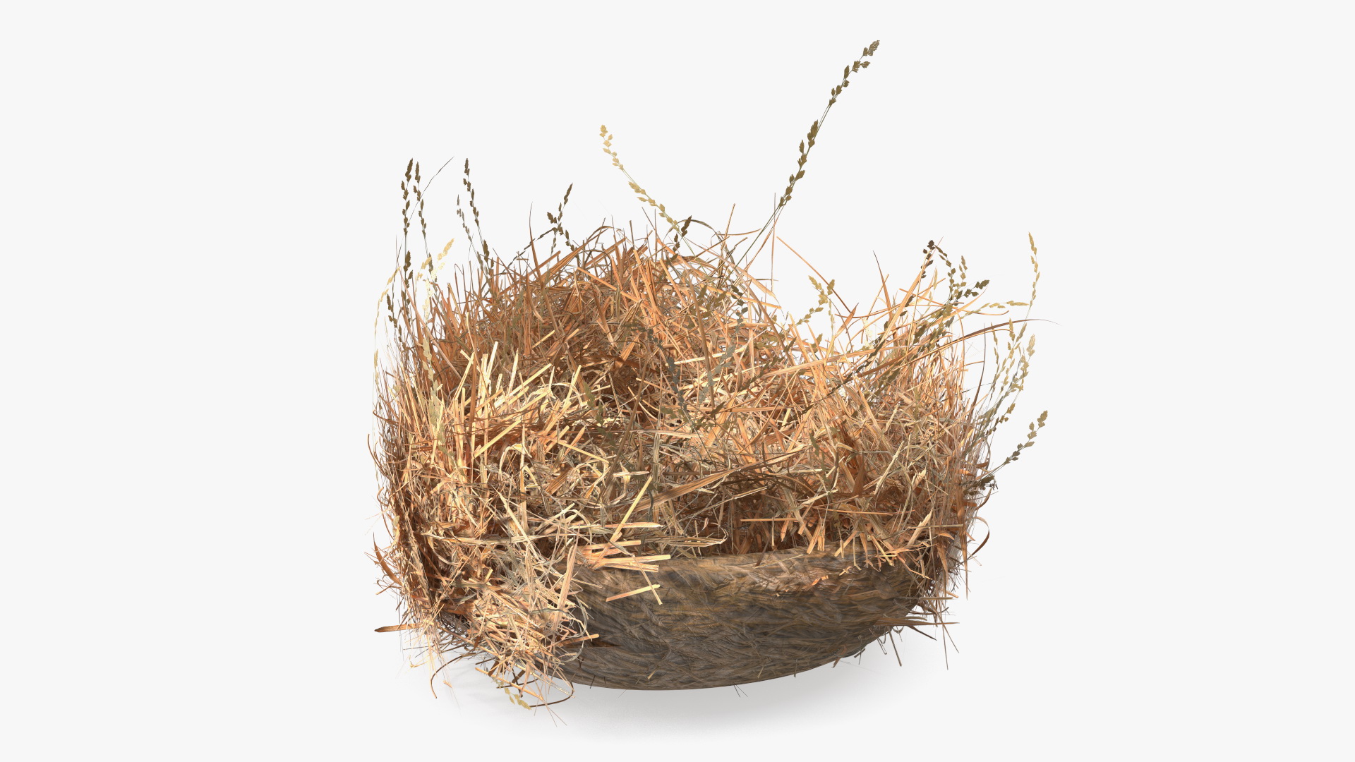 3D Straw Nest with Quail Eggs