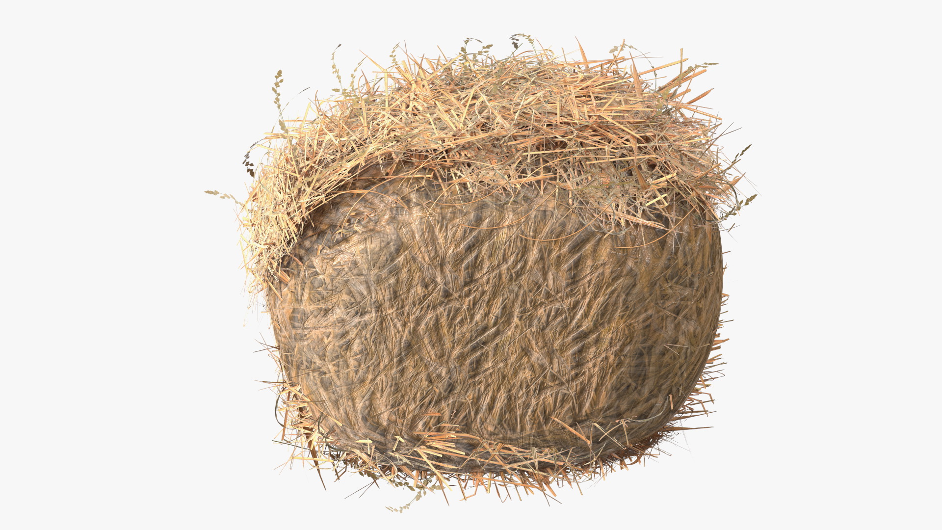3D Straw Nest with Quail Eggs
