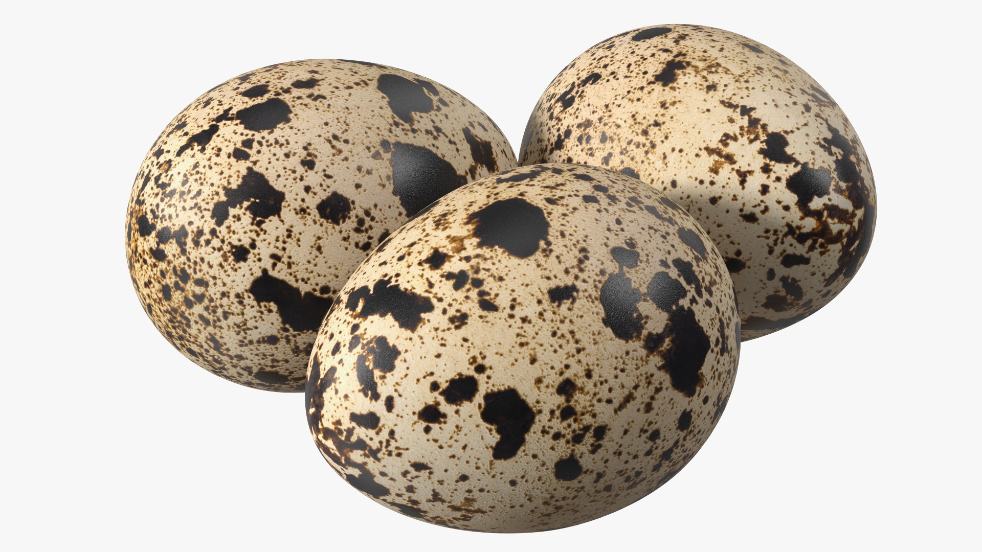 3D Straw Nest with Quail Eggs