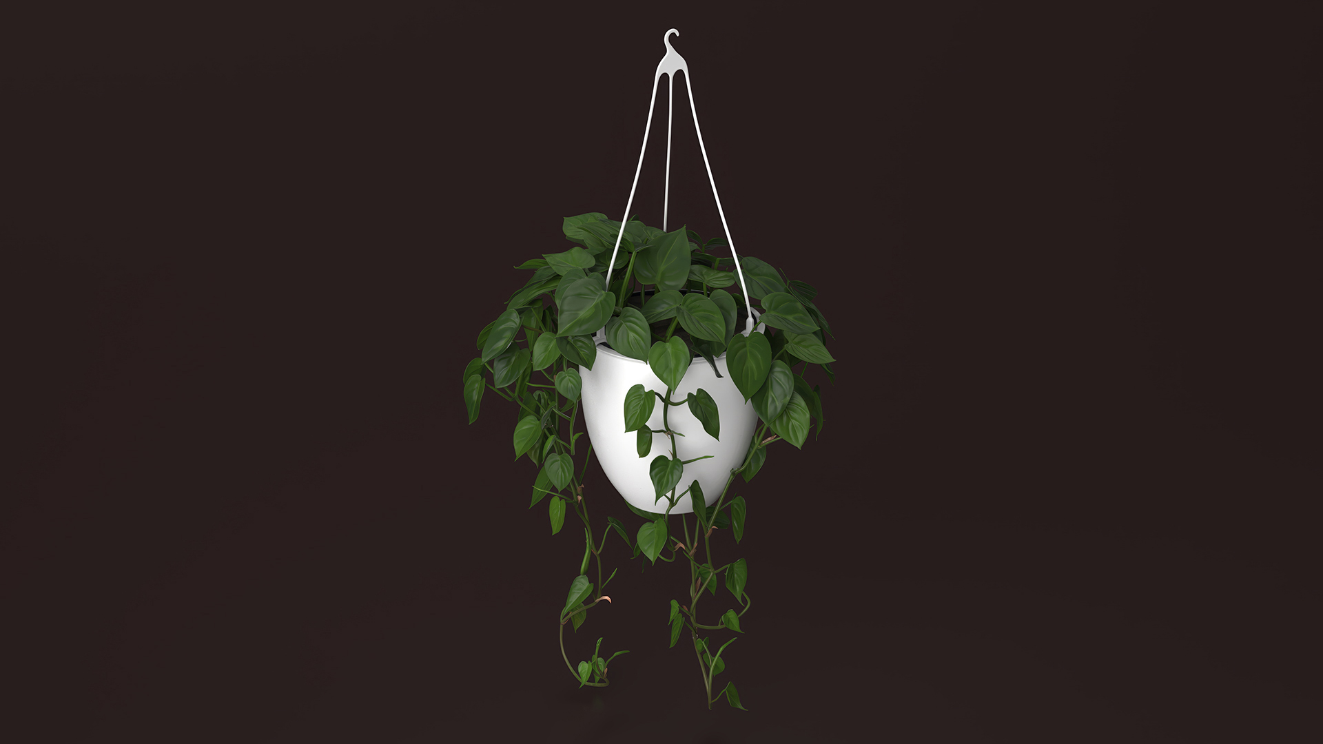 3D model Hanging Potted Plant