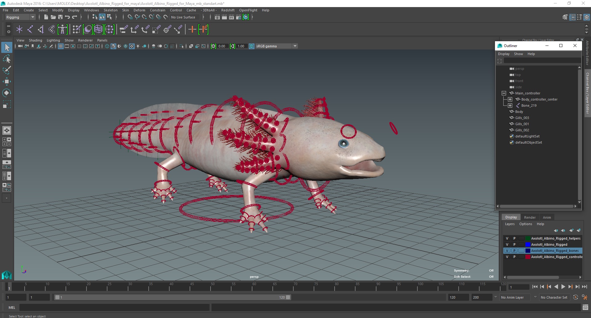 3D model Axolotl Albino Rigged for Maya