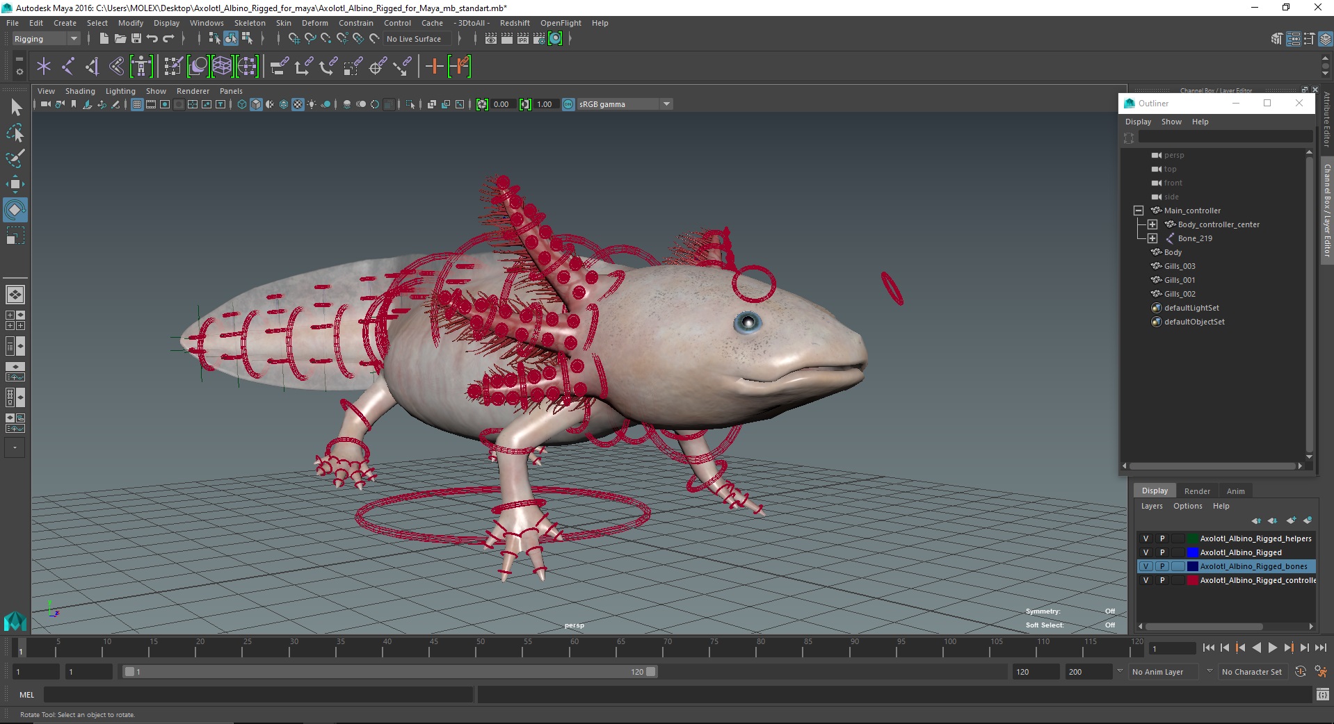 3D model Axolotl Albino Rigged for Maya