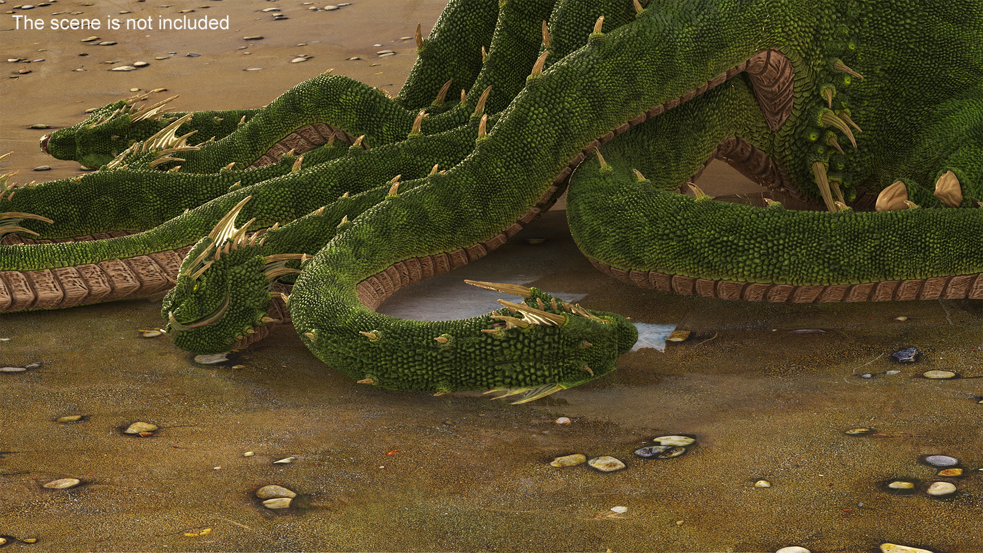 3D Hydra Rigged for Cinema 4D