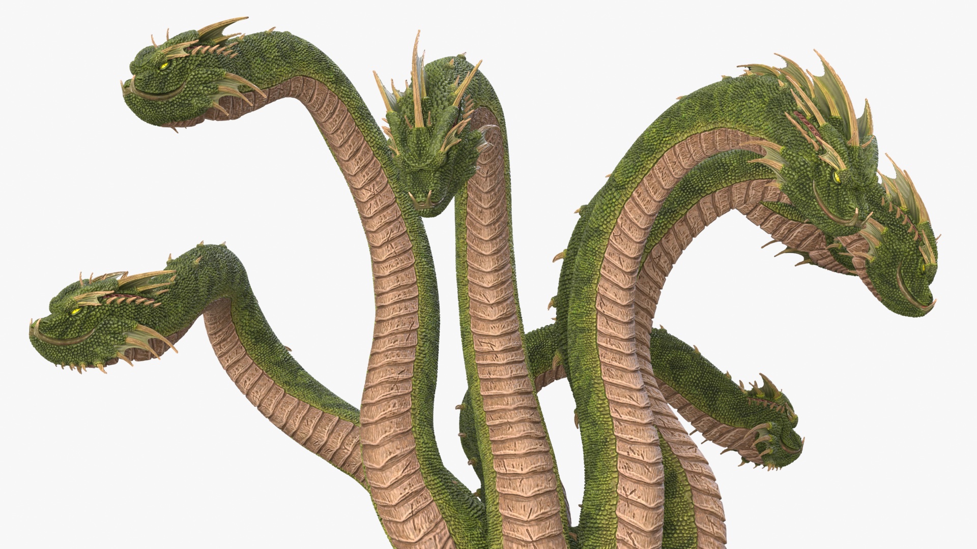 3D Hydra Rigged for Cinema 4D