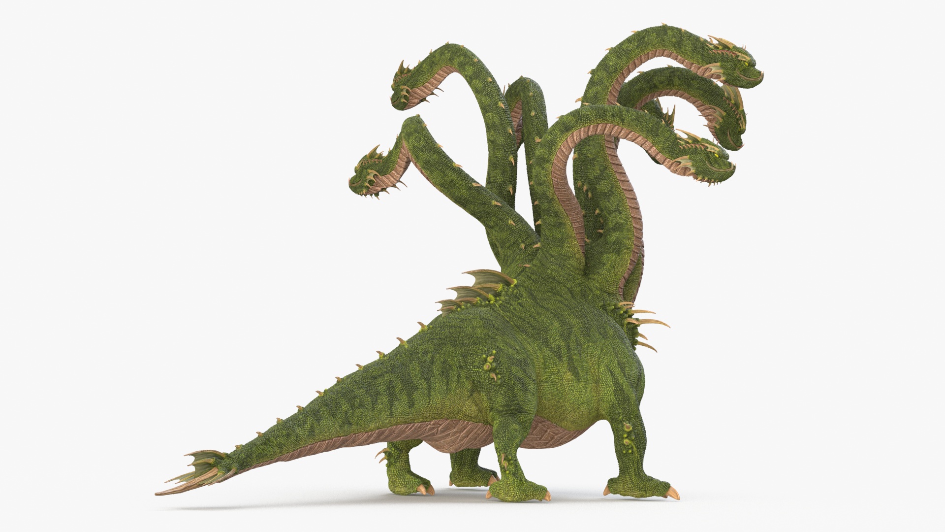 3D Hydra Rigged for Cinema 4D