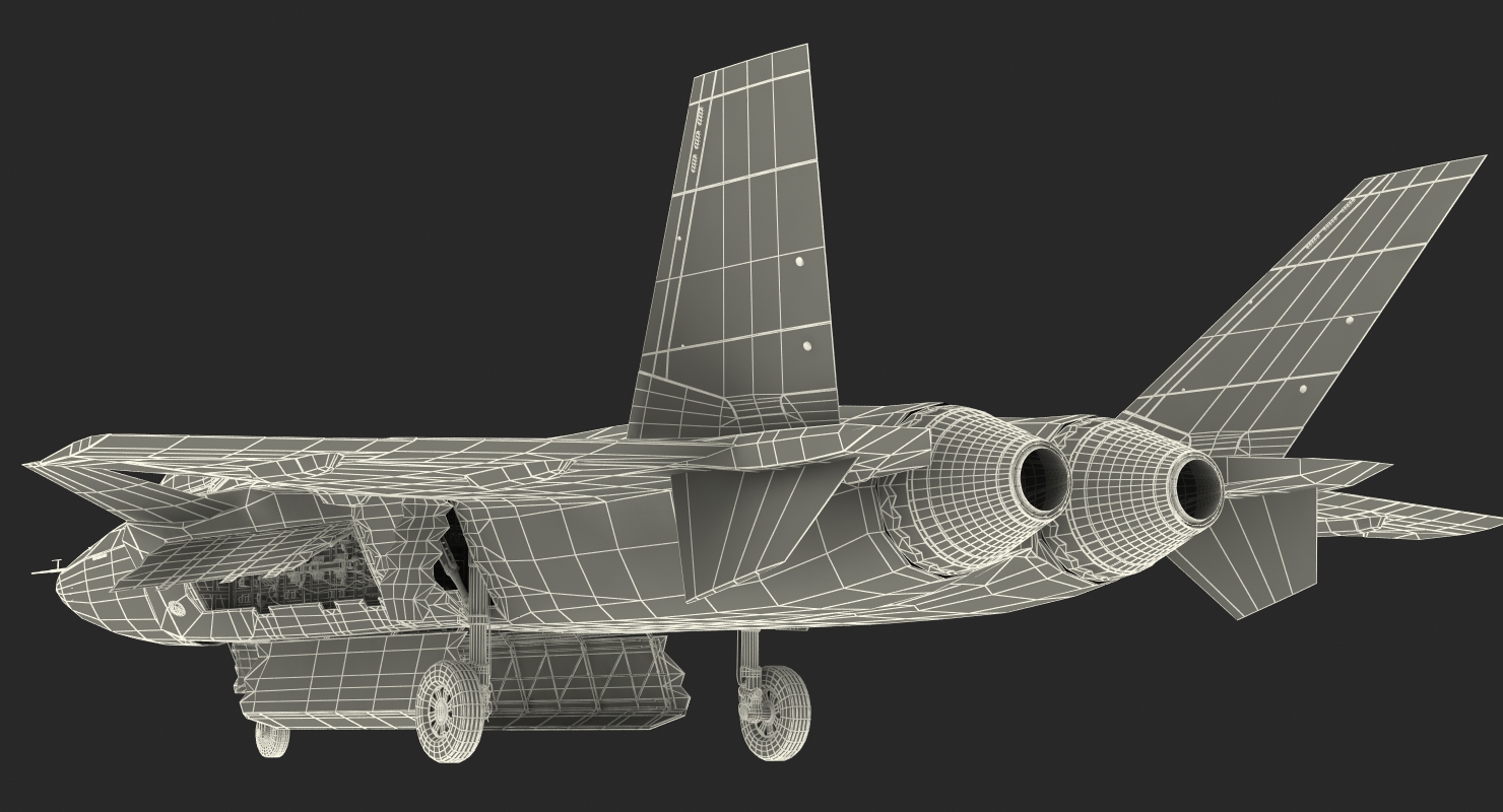 Stealth Chengdu J 20 Rigged 3D