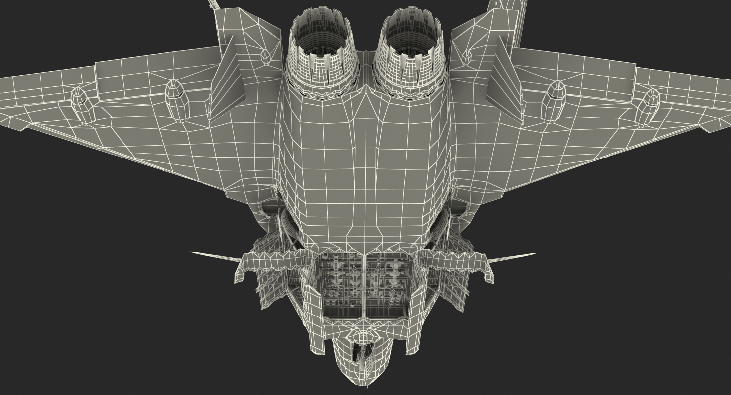 Stealth Chengdu J 20 Rigged 3D