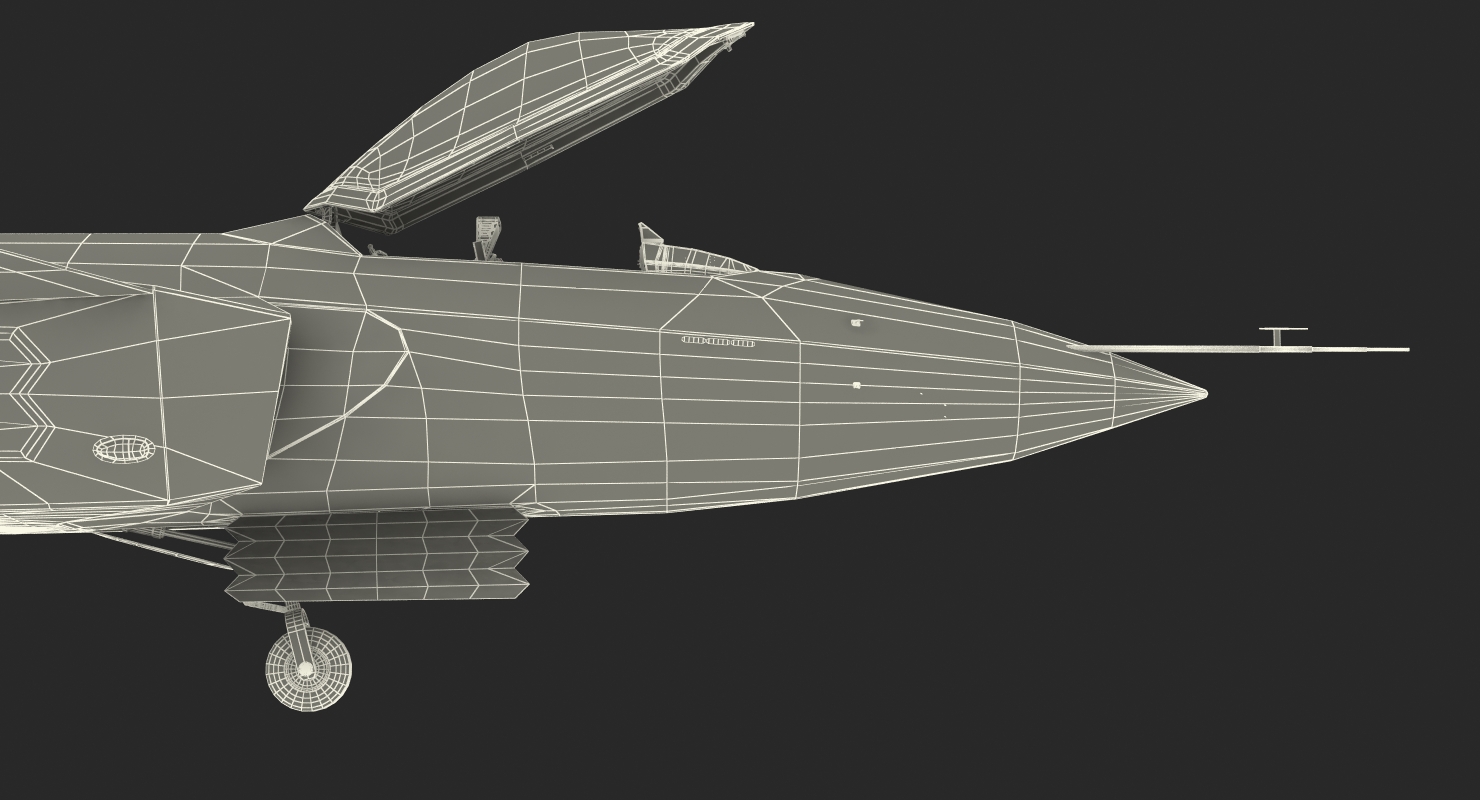 Stealth Chengdu J 20 Rigged 3D