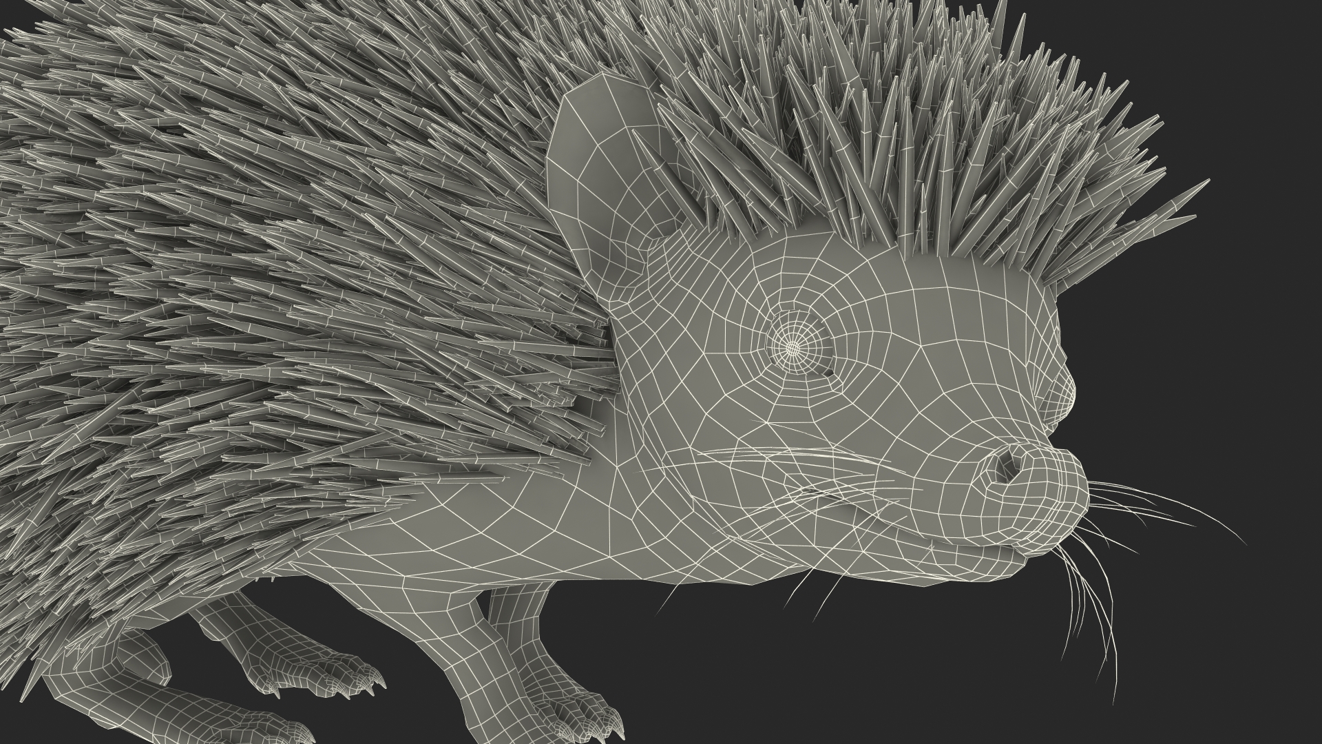 Black Hedgehog Standing Fur 3D