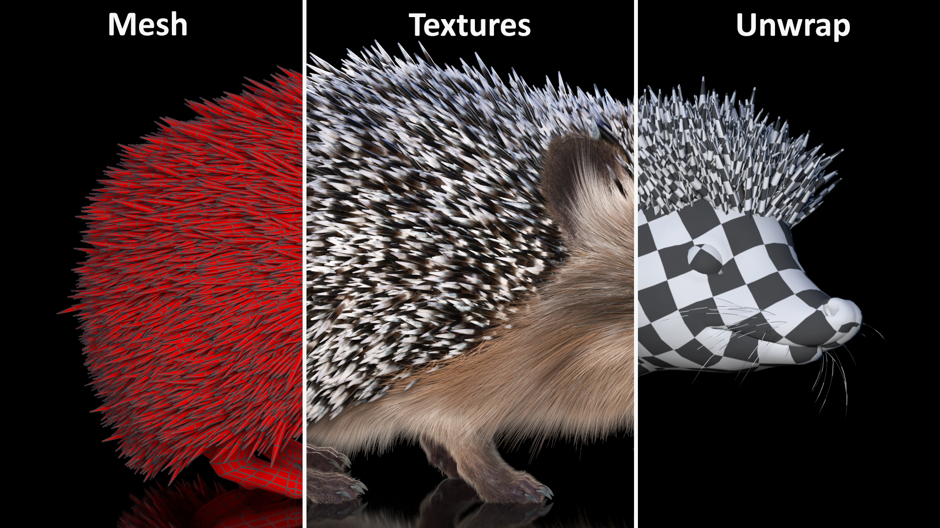 Black Hedgehog Standing Fur 3D