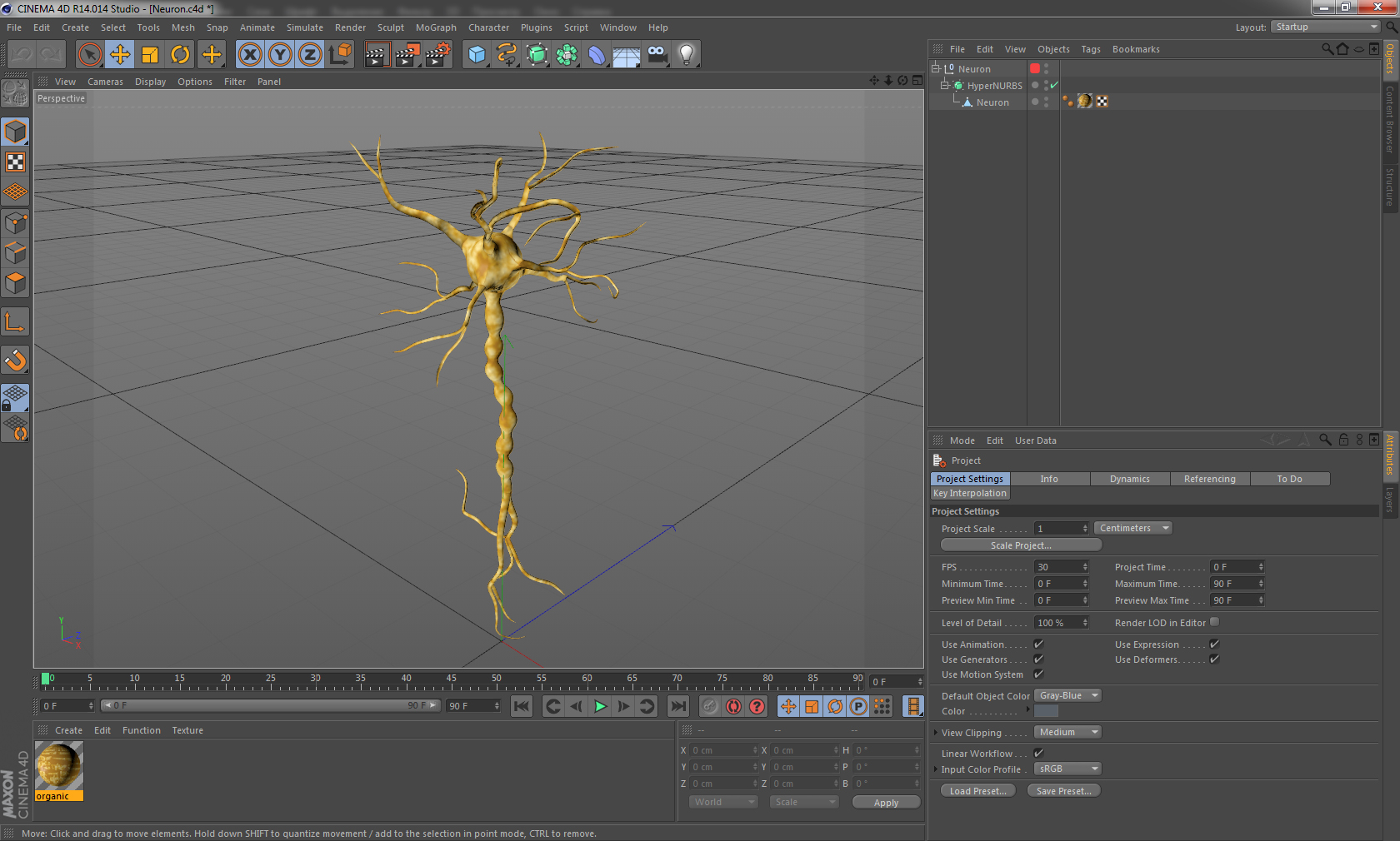 3D model Neuron