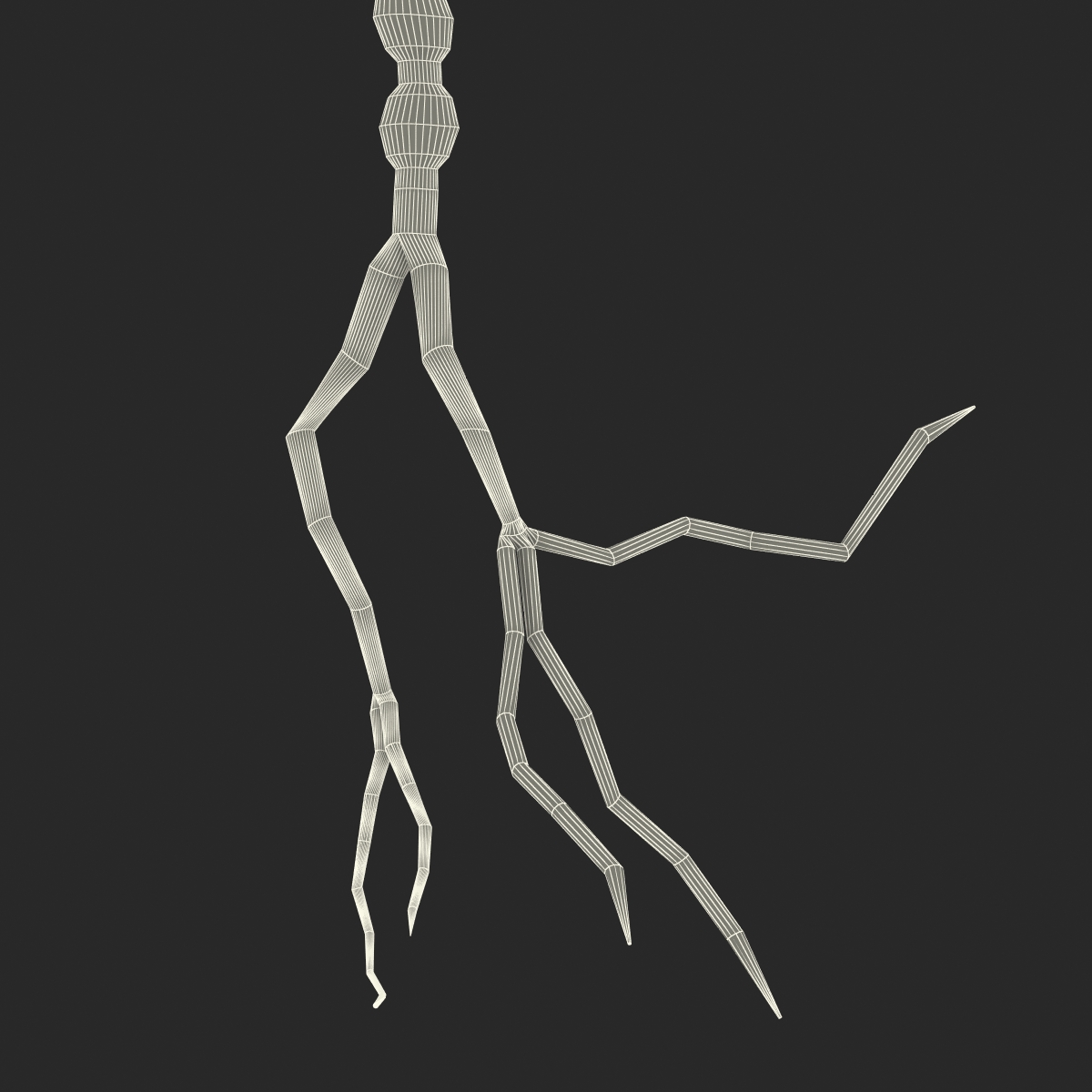 3D model Neuron
