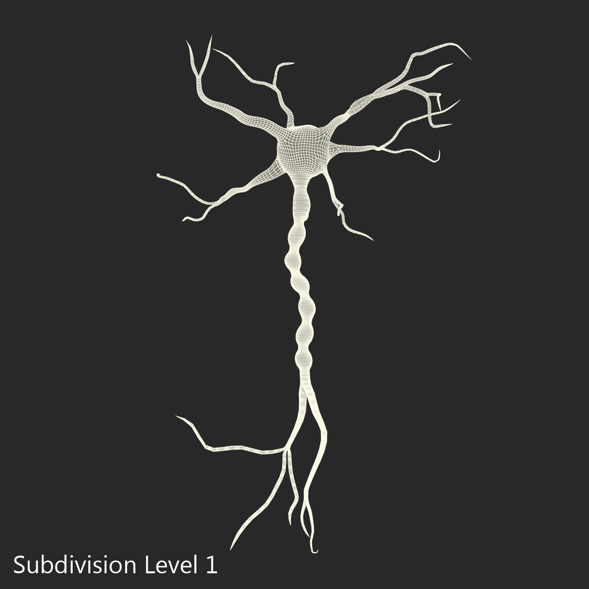 3D model Neuron