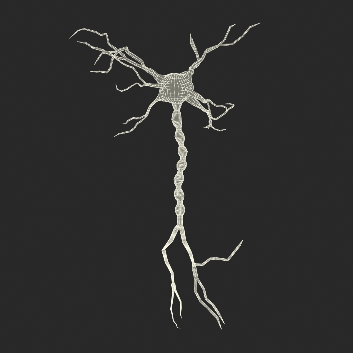 3D model Neuron