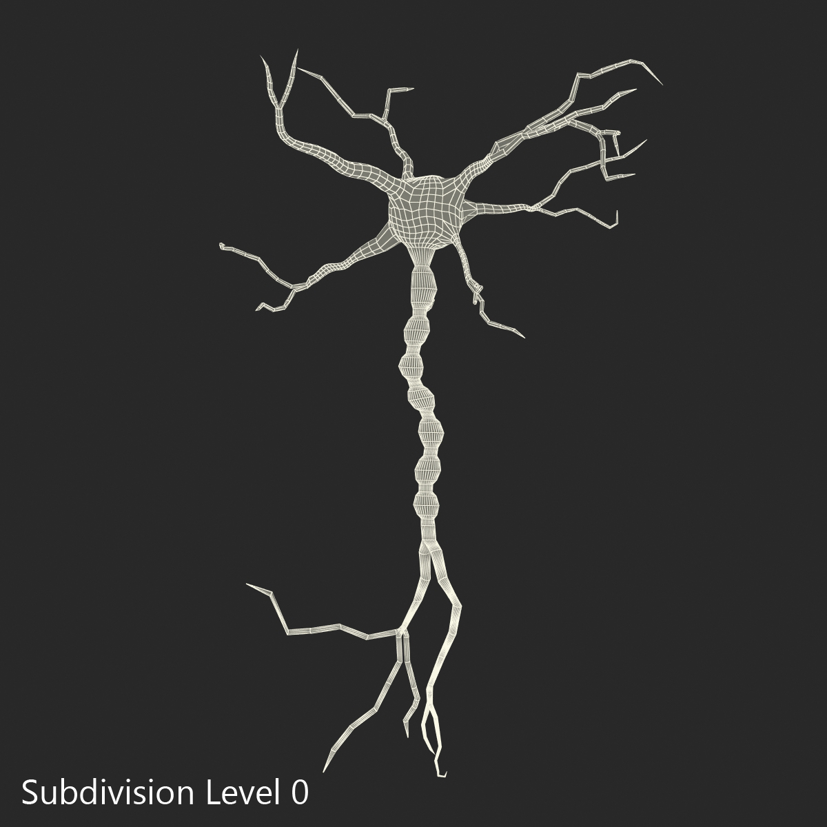 3D model Neuron