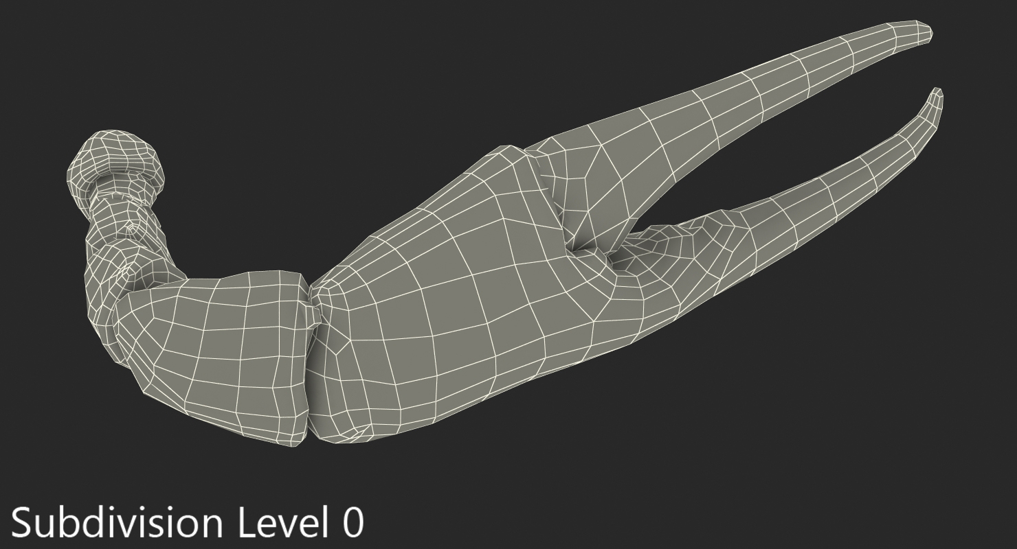 Crab Claw 3D model