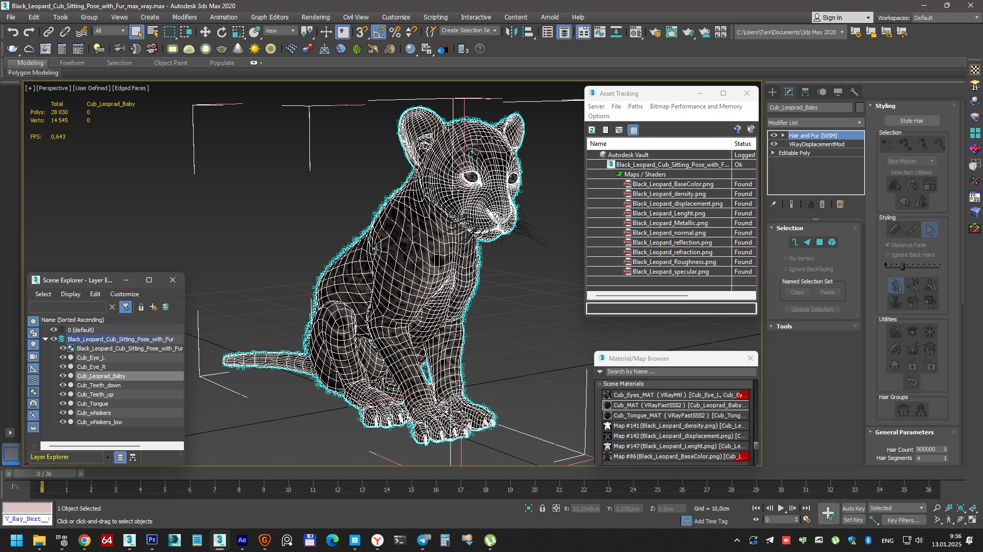 Black Leopard Cub Sitting Pose with Fur 3D model