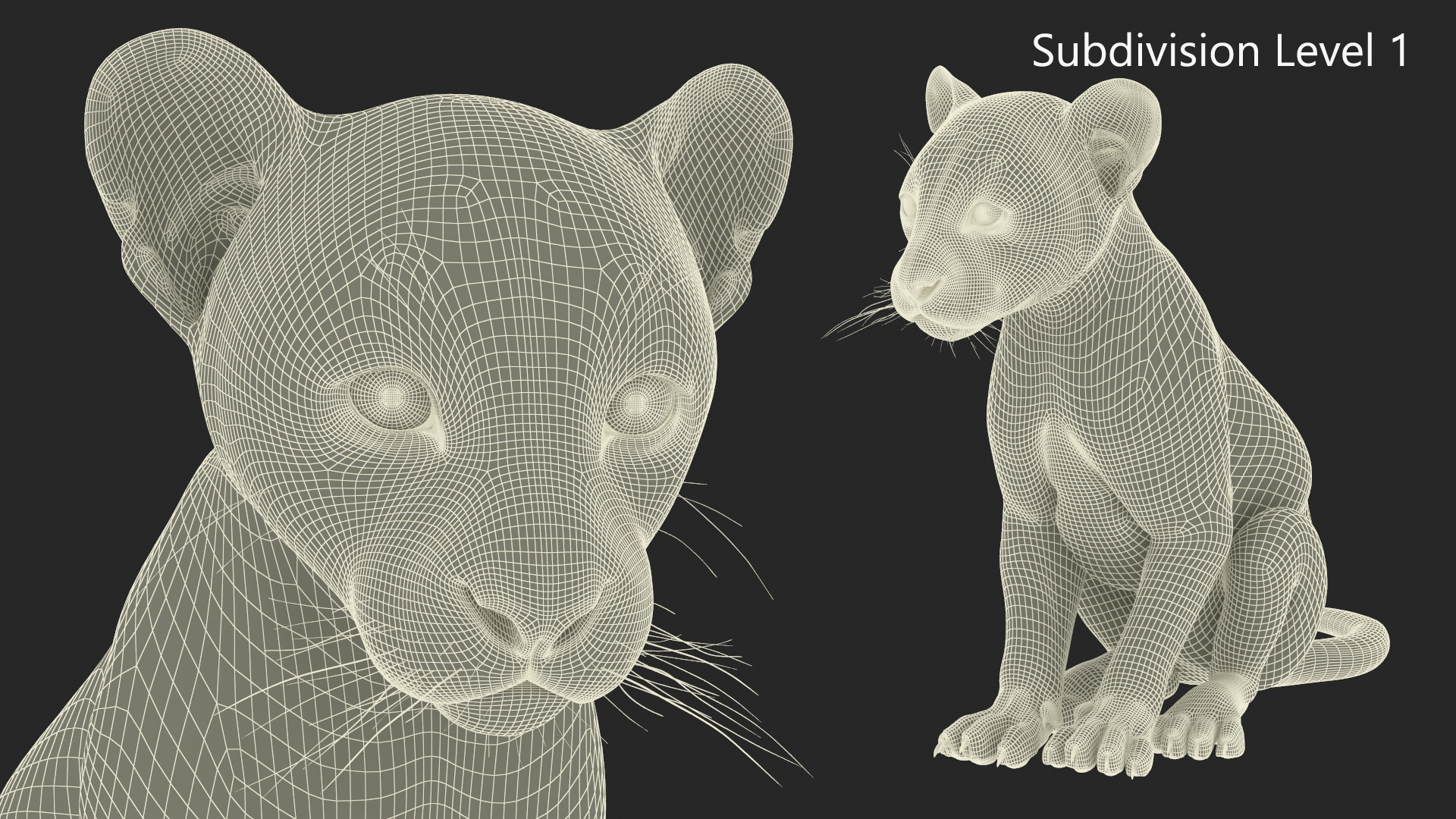 Black Leopard Cub Sitting Pose with Fur 3D model