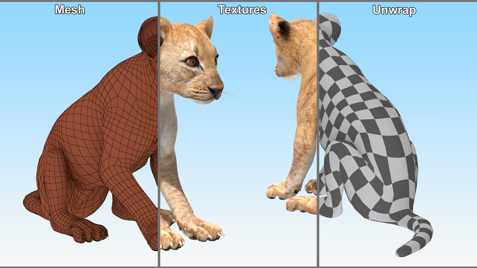 3D Lion Cub Sitting