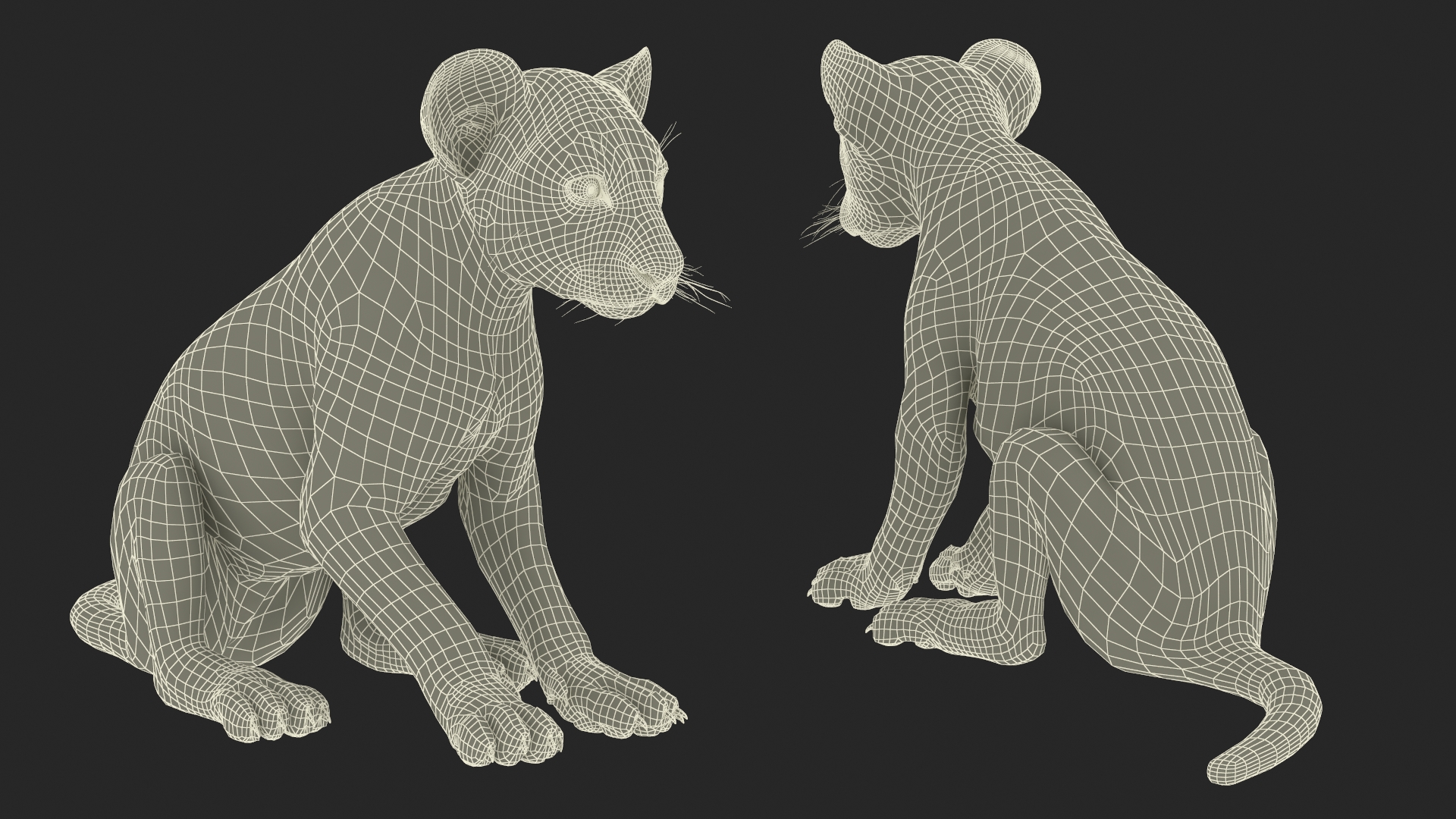 3D Lion Cub Sitting