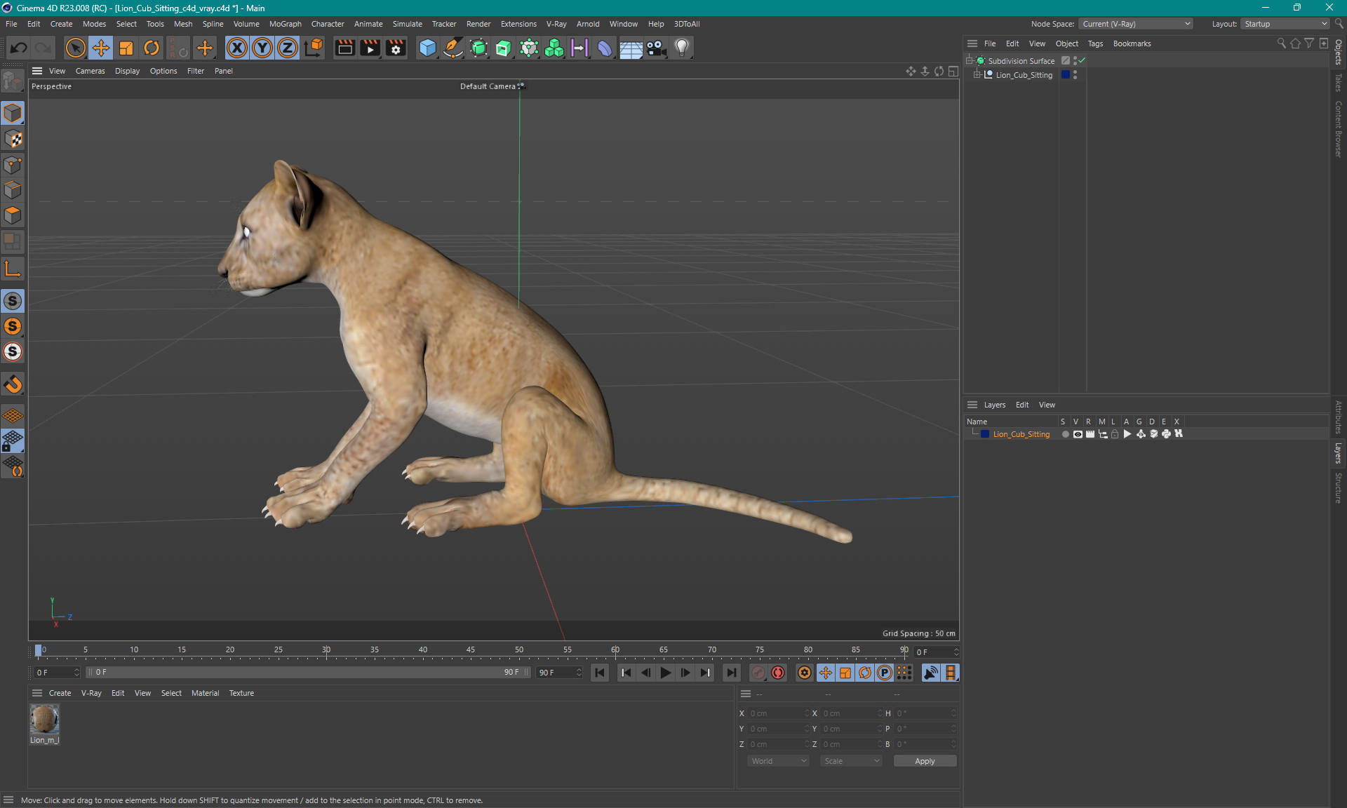 3D Lion Cub Sitting