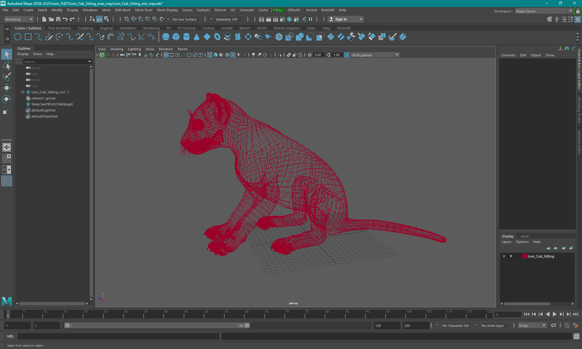 3D Lion Cub Sitting