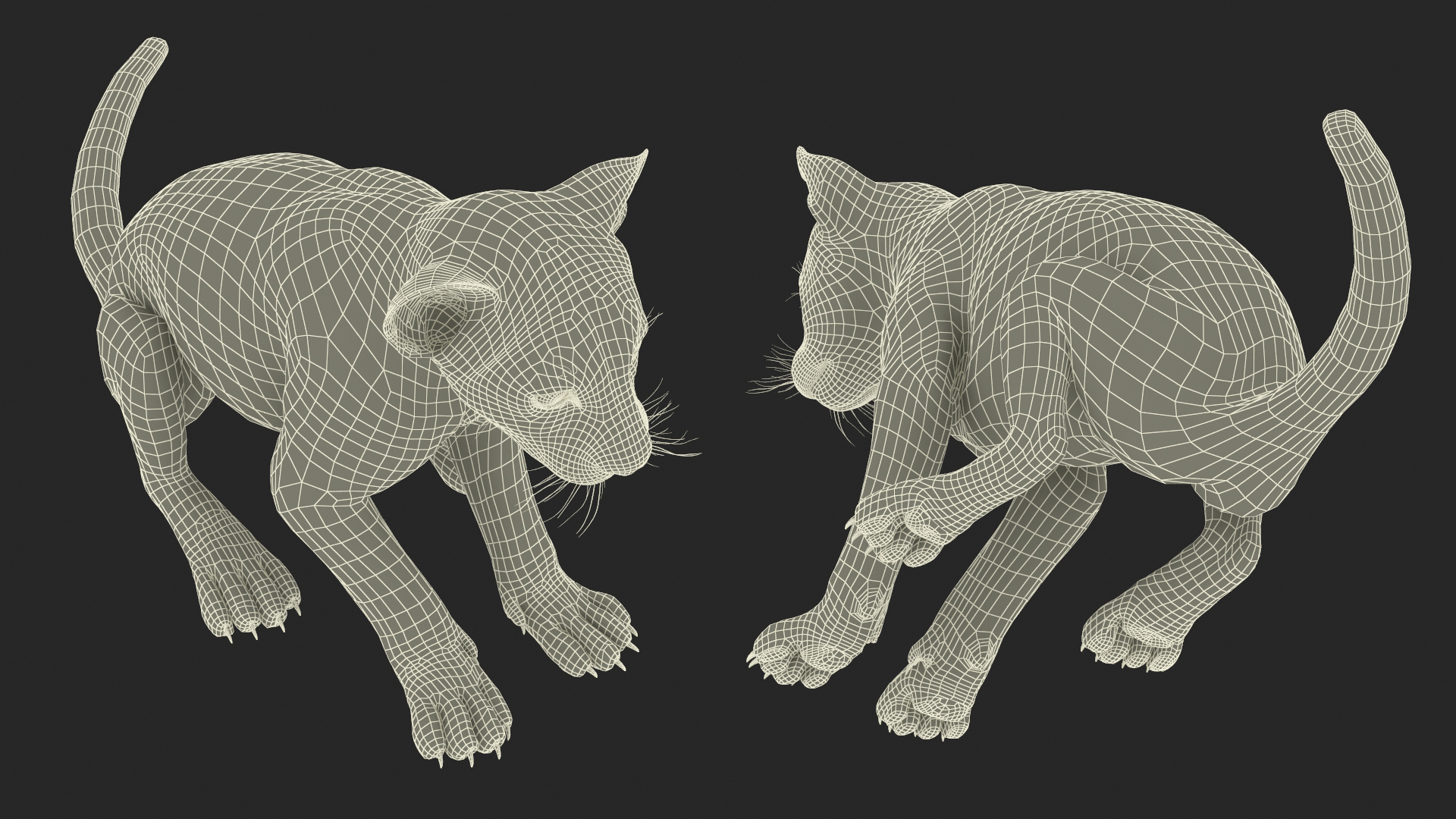 3D Lion Cub Sitting