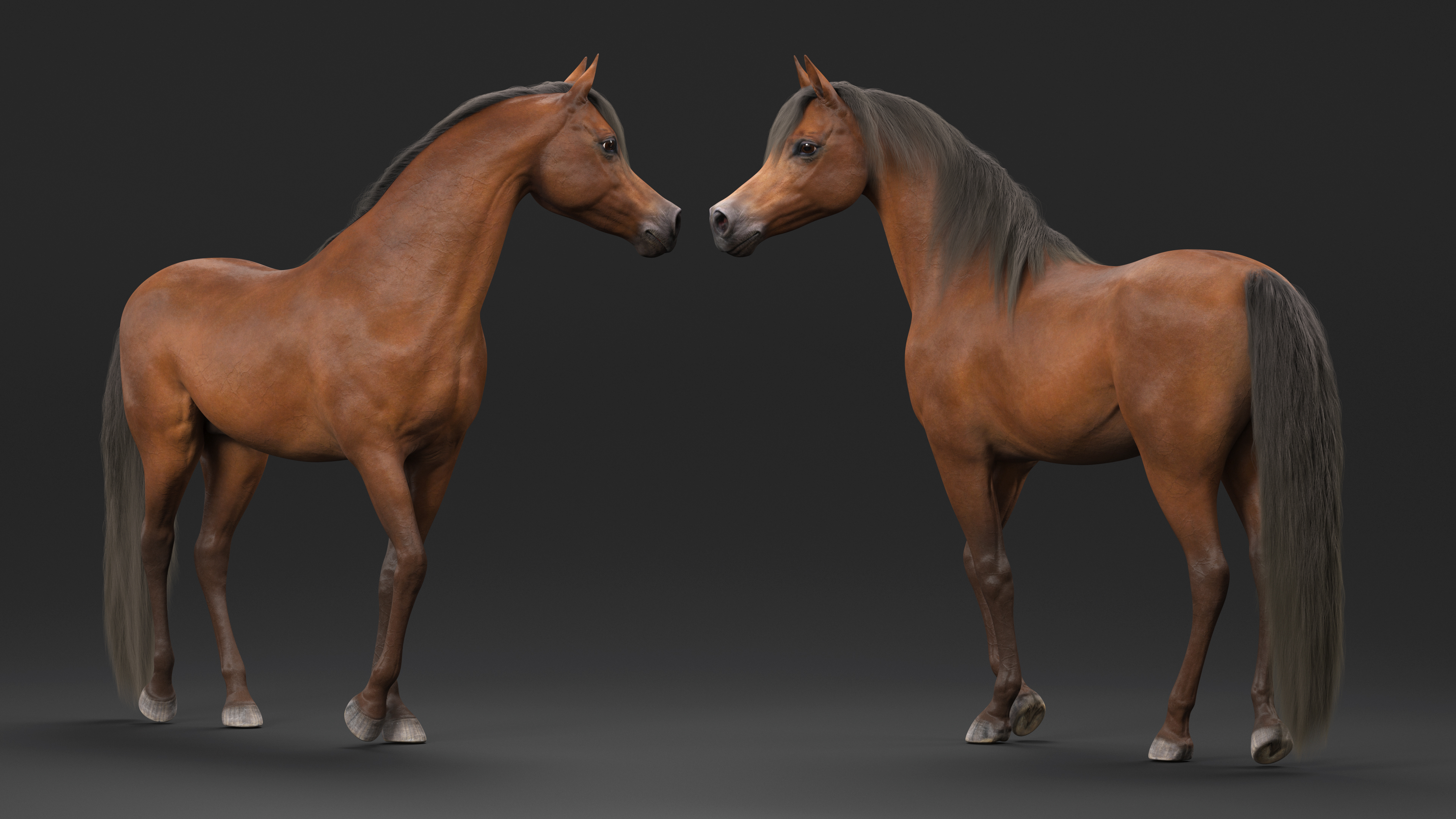 Arabian Horse Brown Stand Pose Fur 3D model